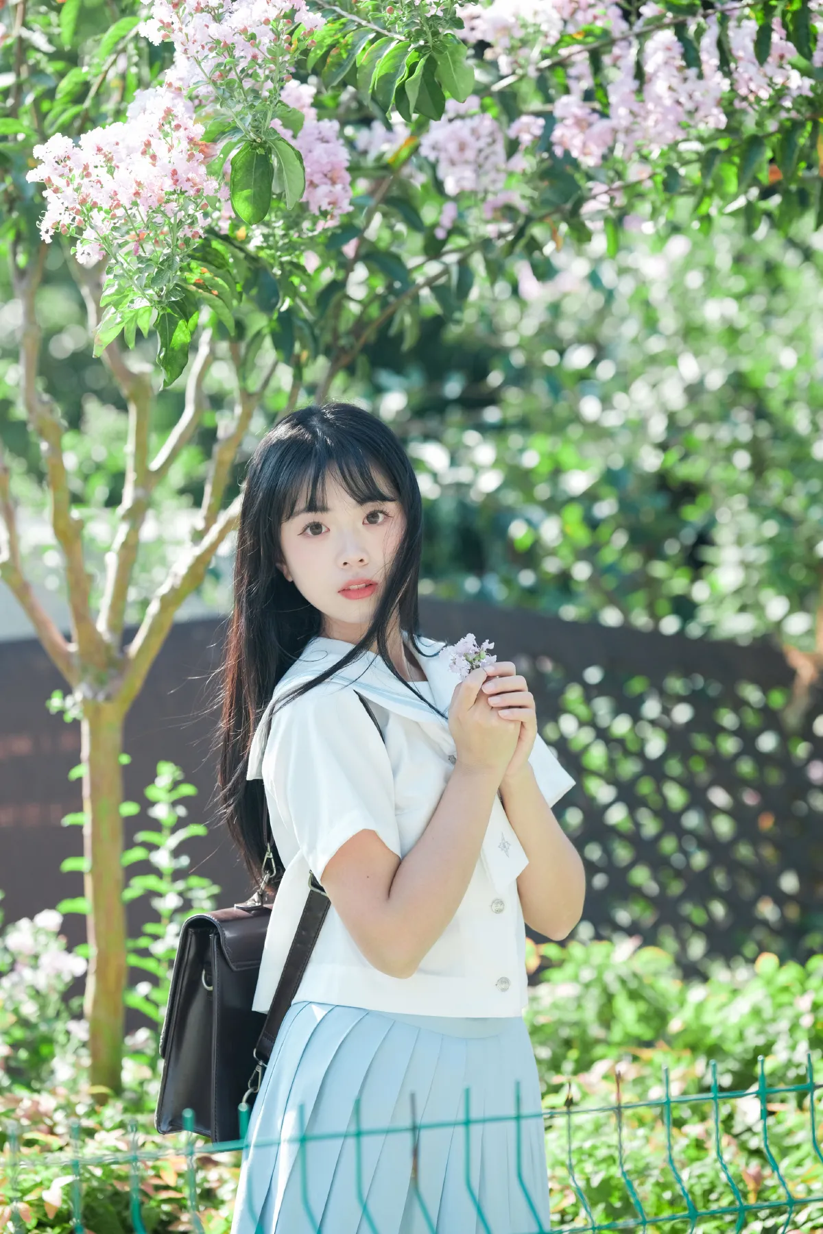 那棵树3