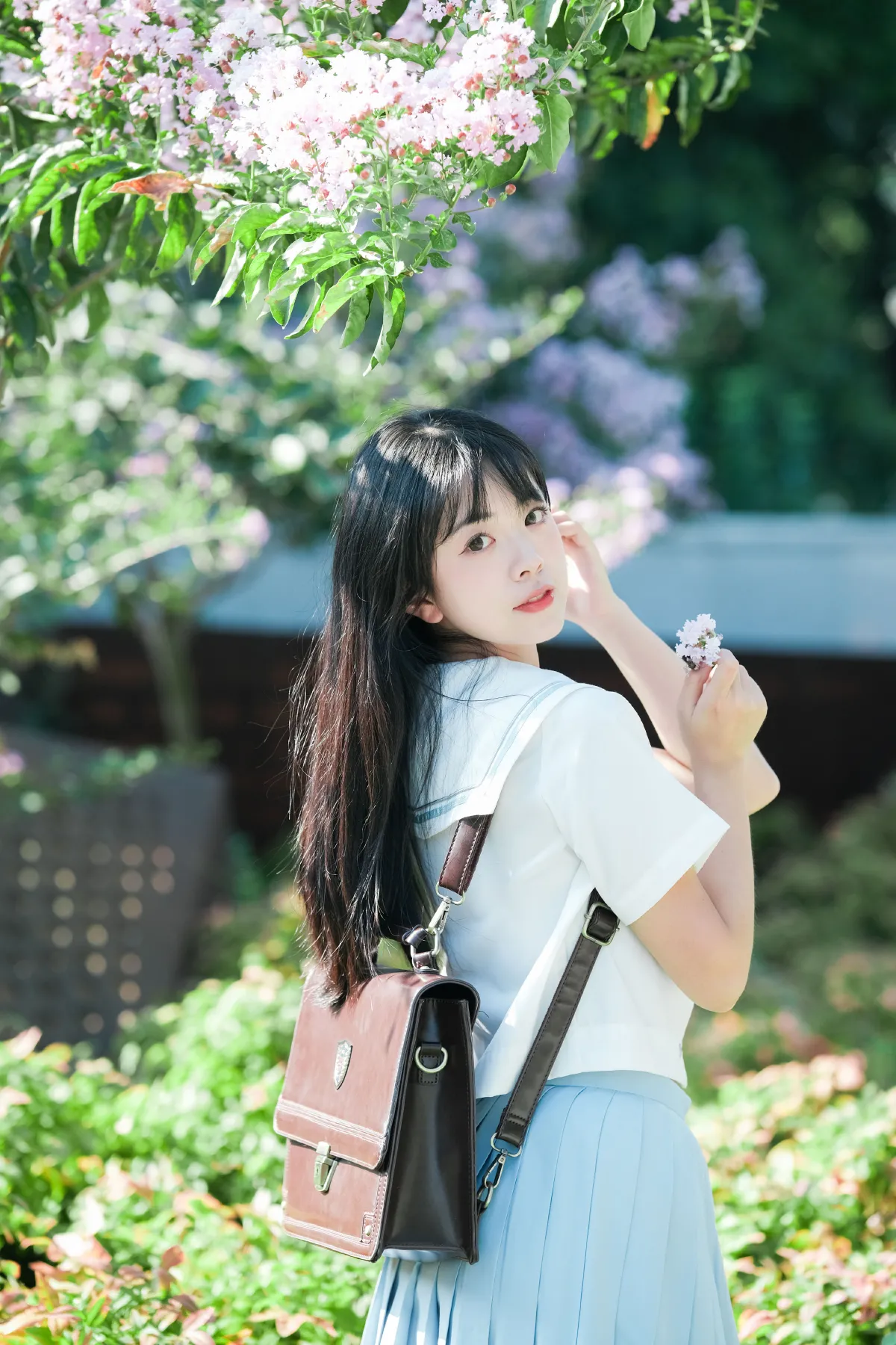 那棵树4