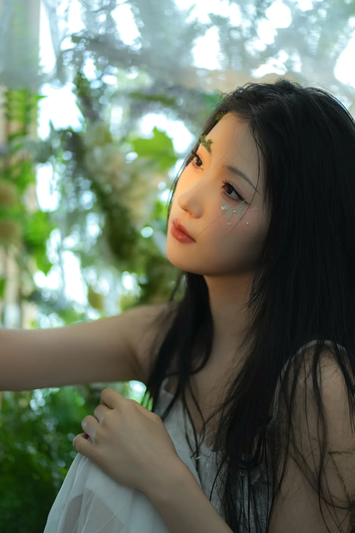 绿野仙踪1