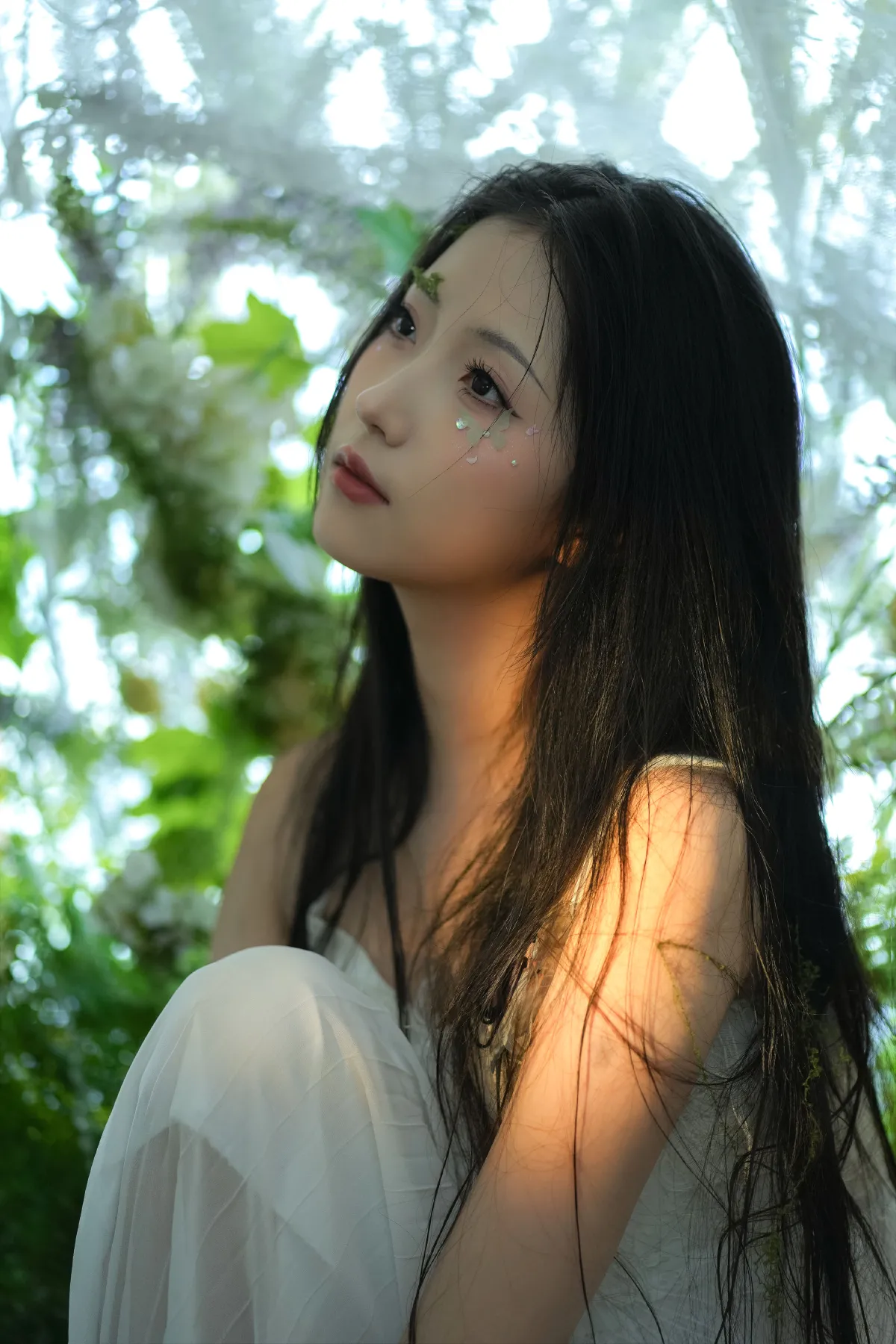绿野仙踪2