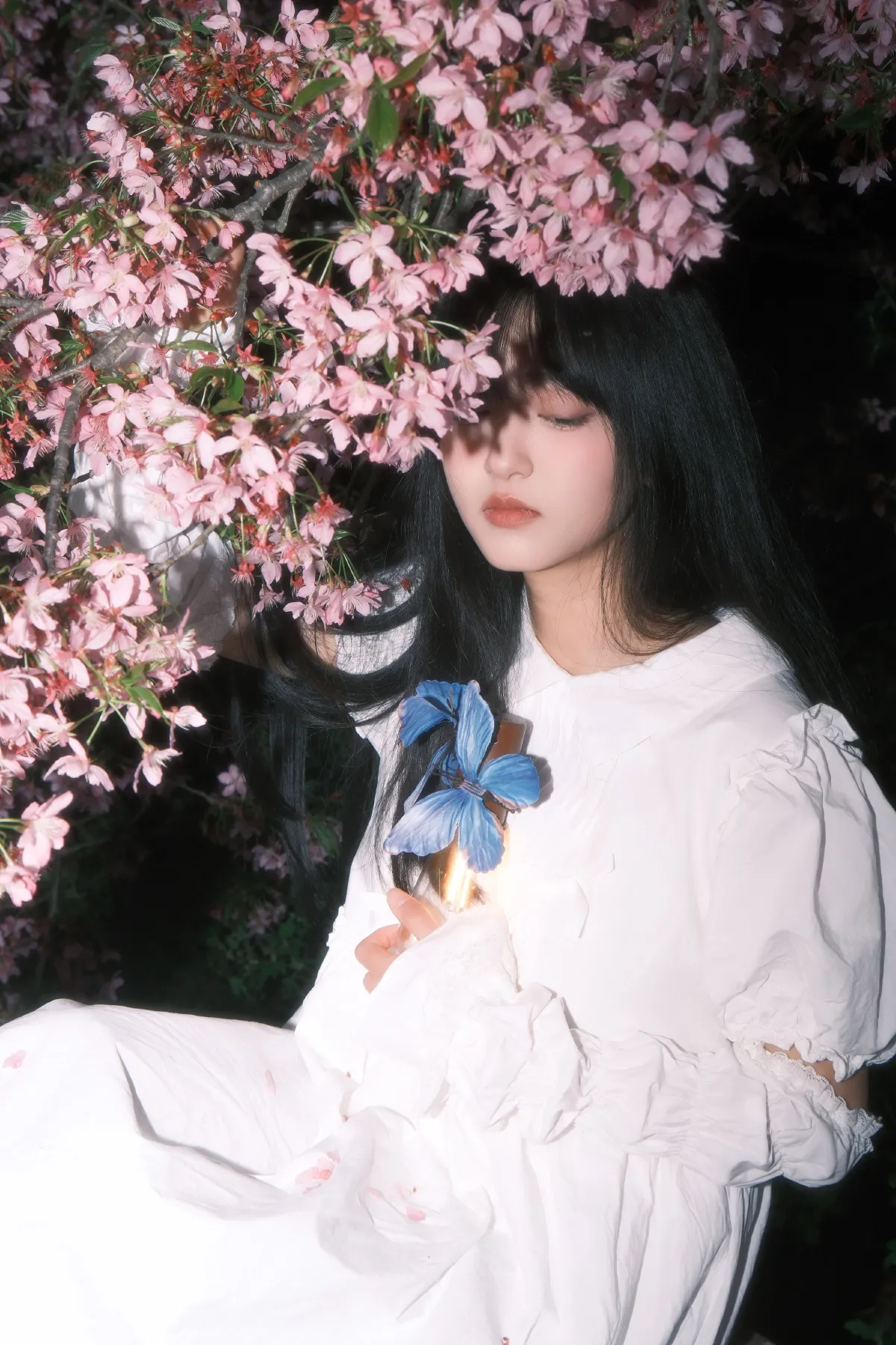 葬樱1