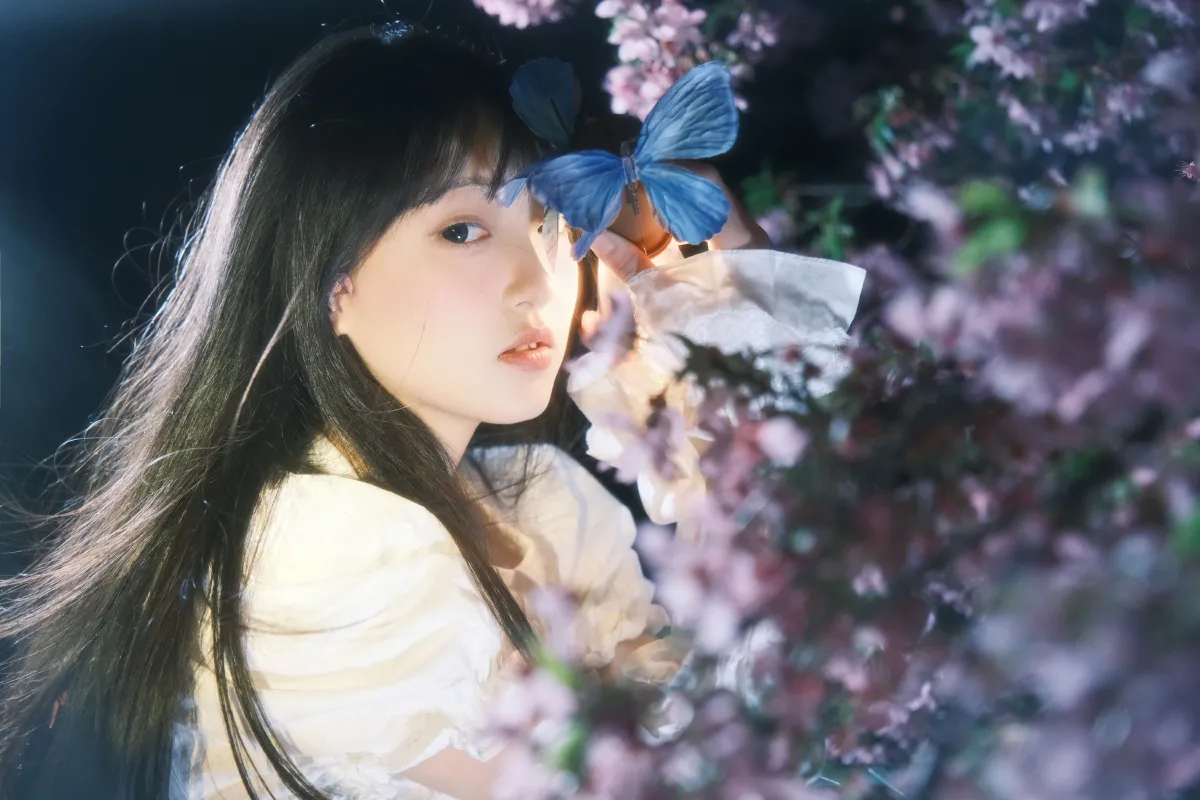 葬樱2