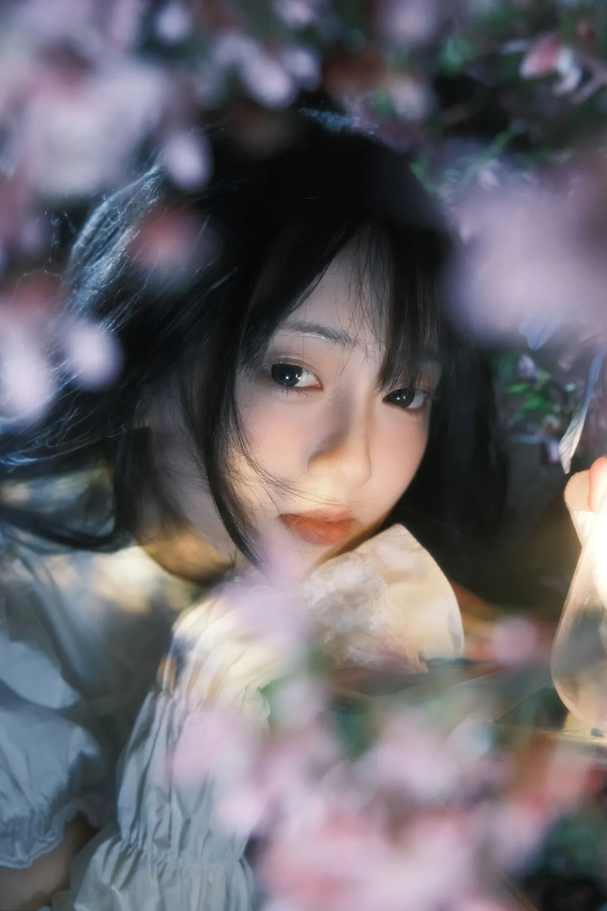 葬樱4
