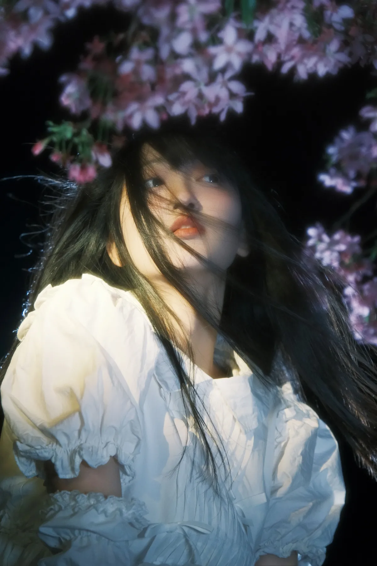 甜汐_冷酷王爷《葬樱》美图作品图片3