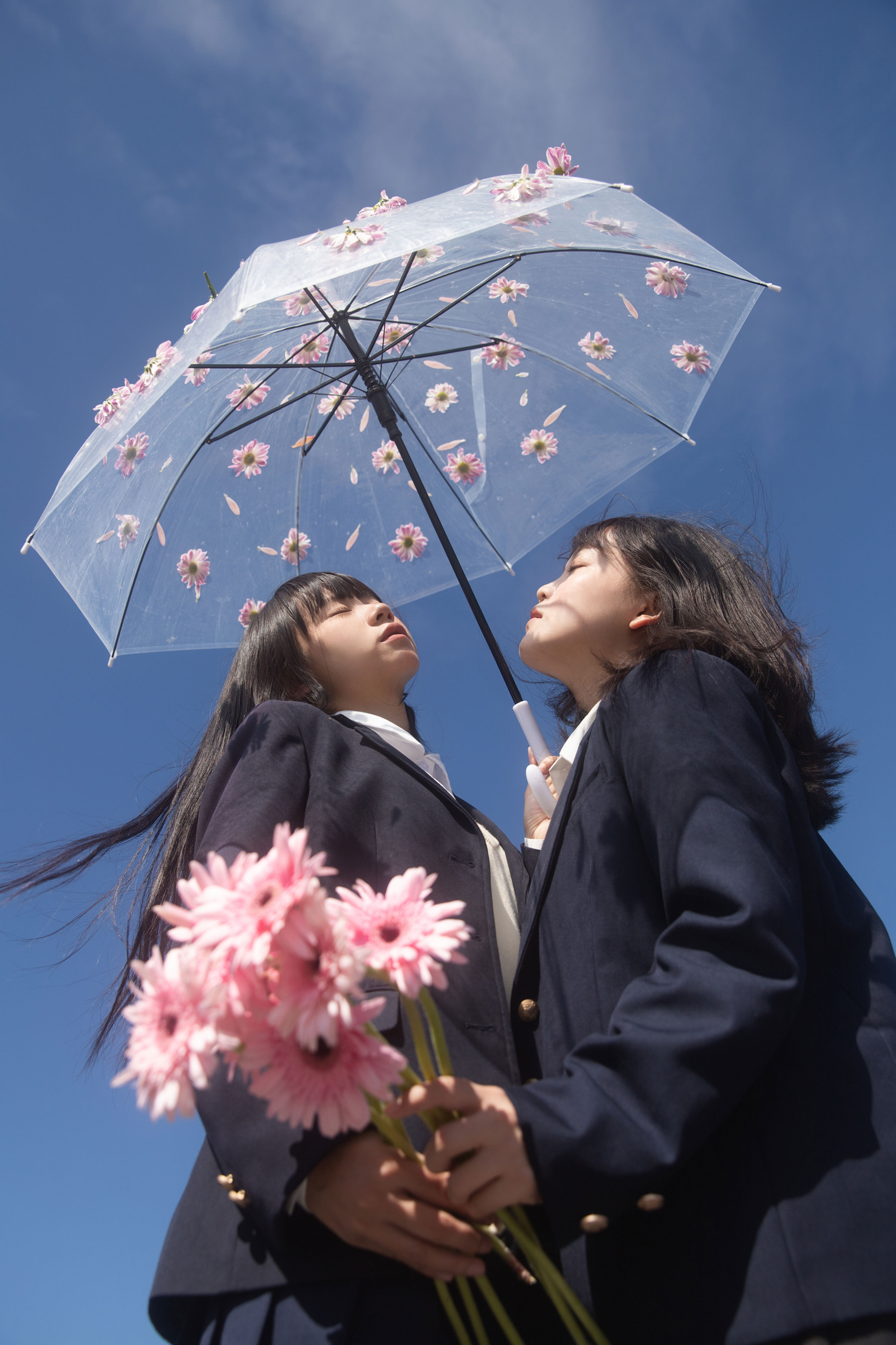 花与爱丽丝1