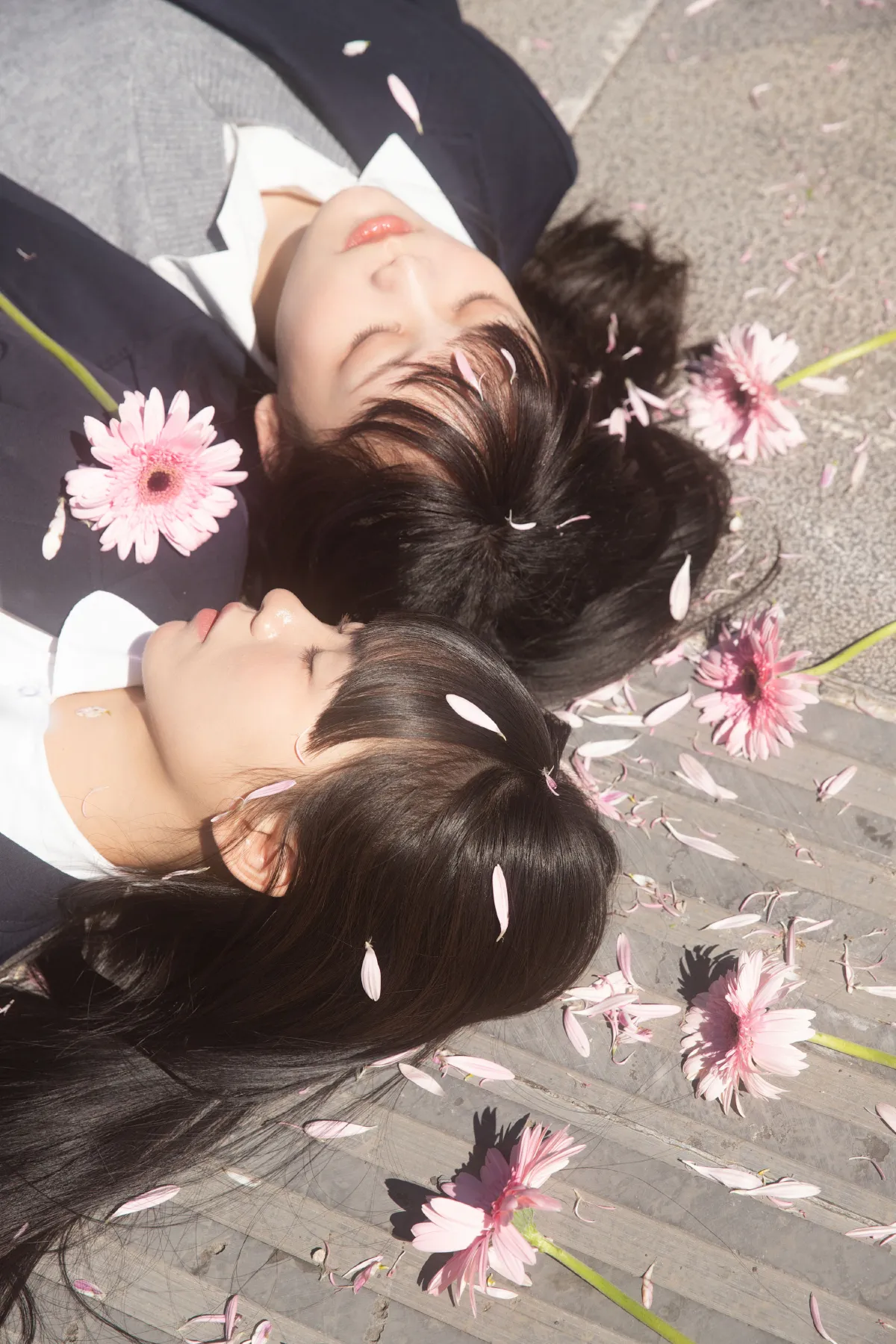 花与爱丽丝3