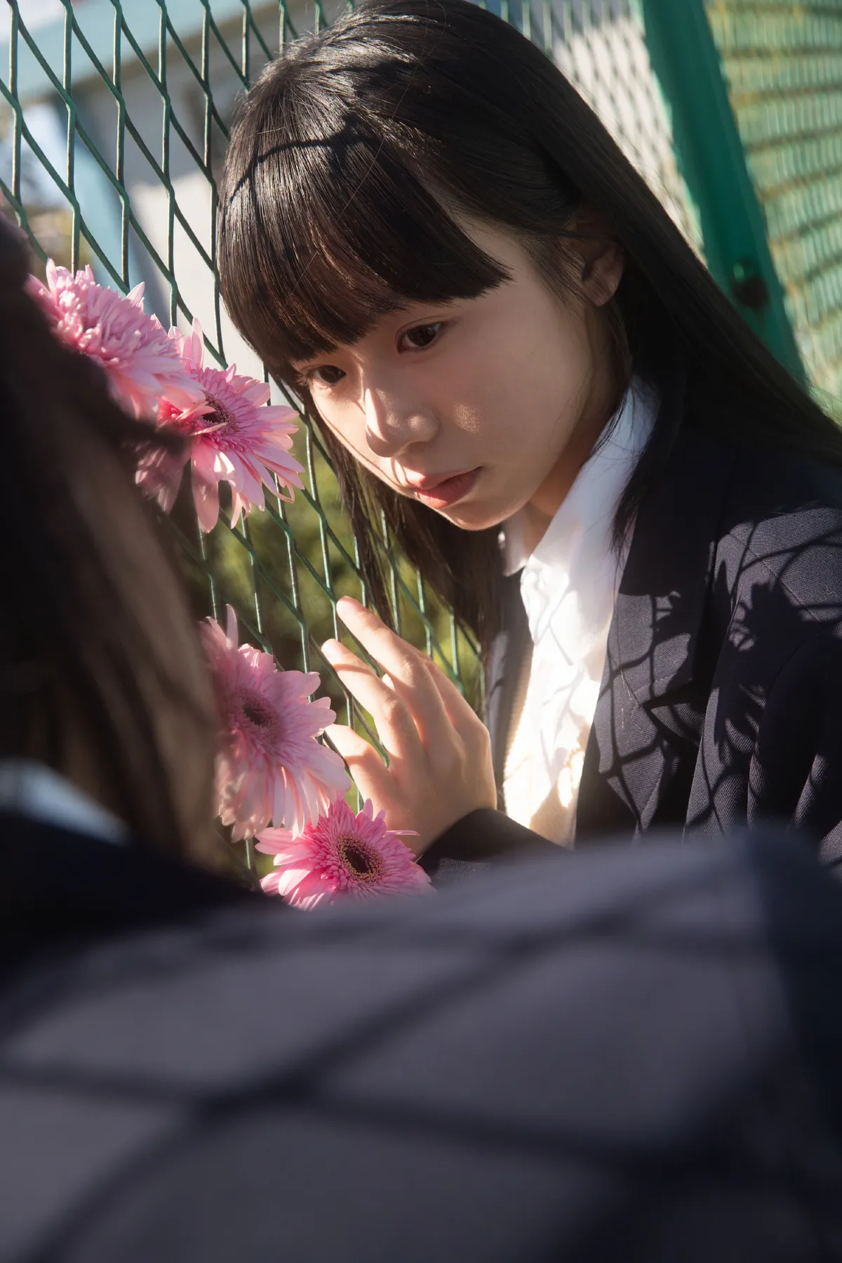 花与爱丽丝5