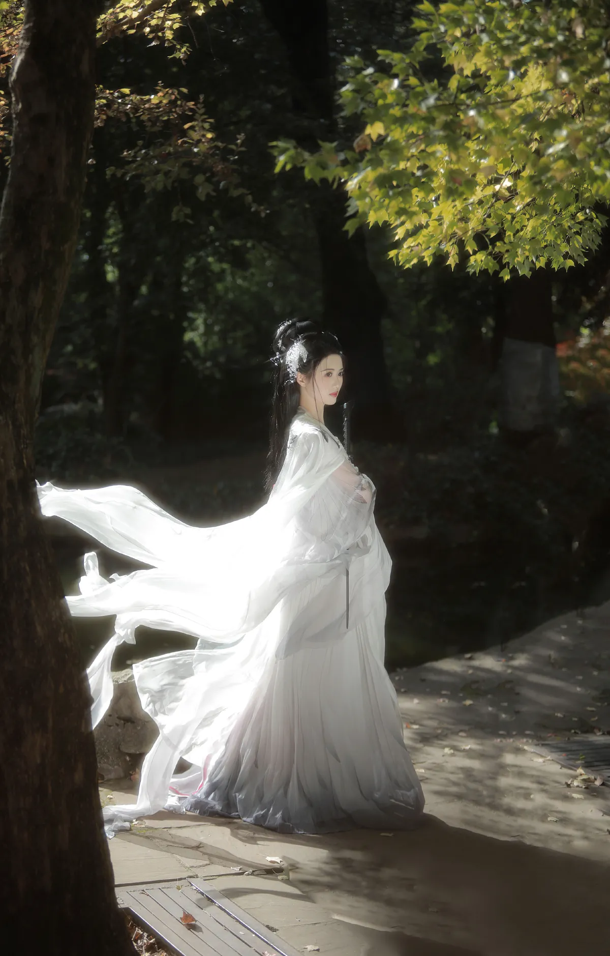青山有色，白鹤忘机4