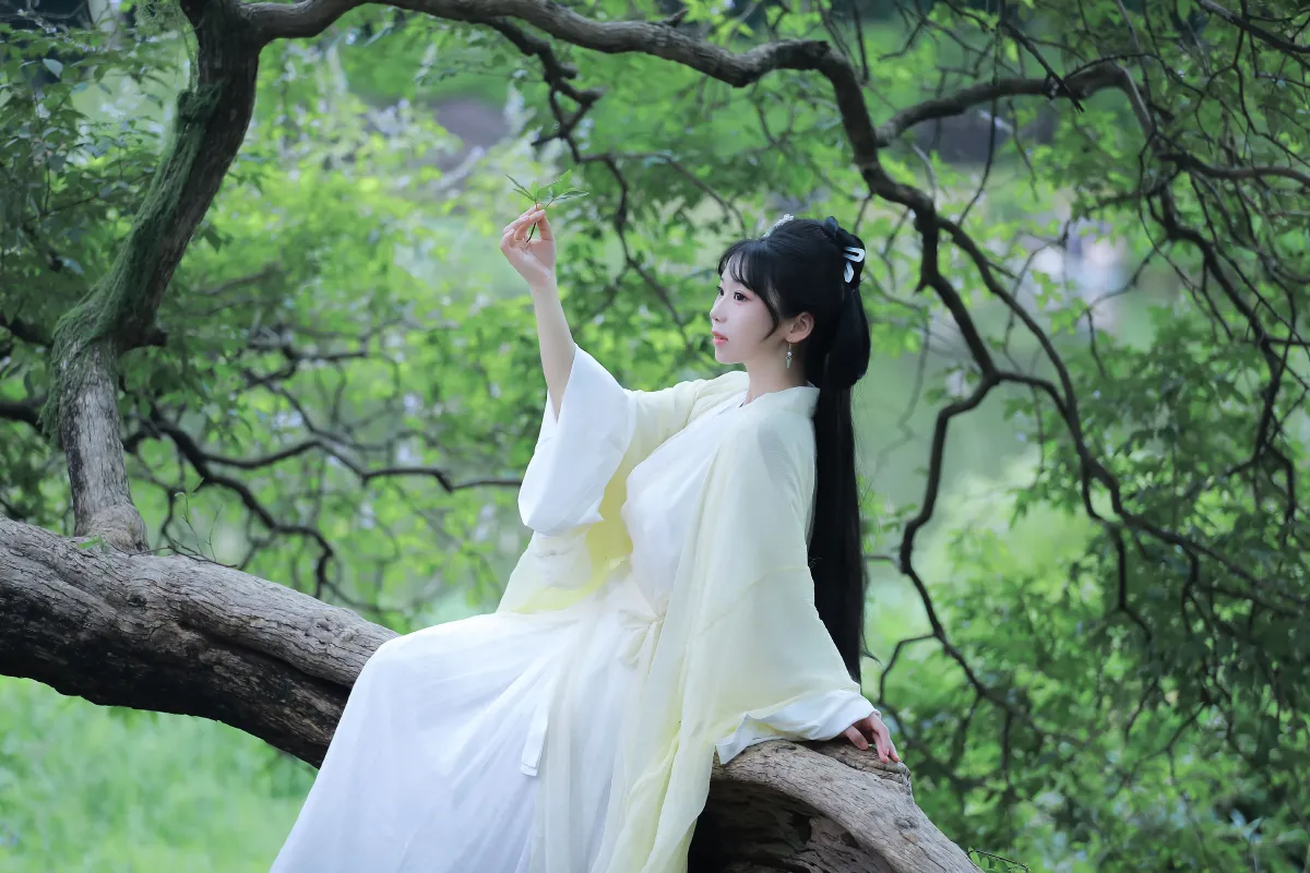 关山渡4