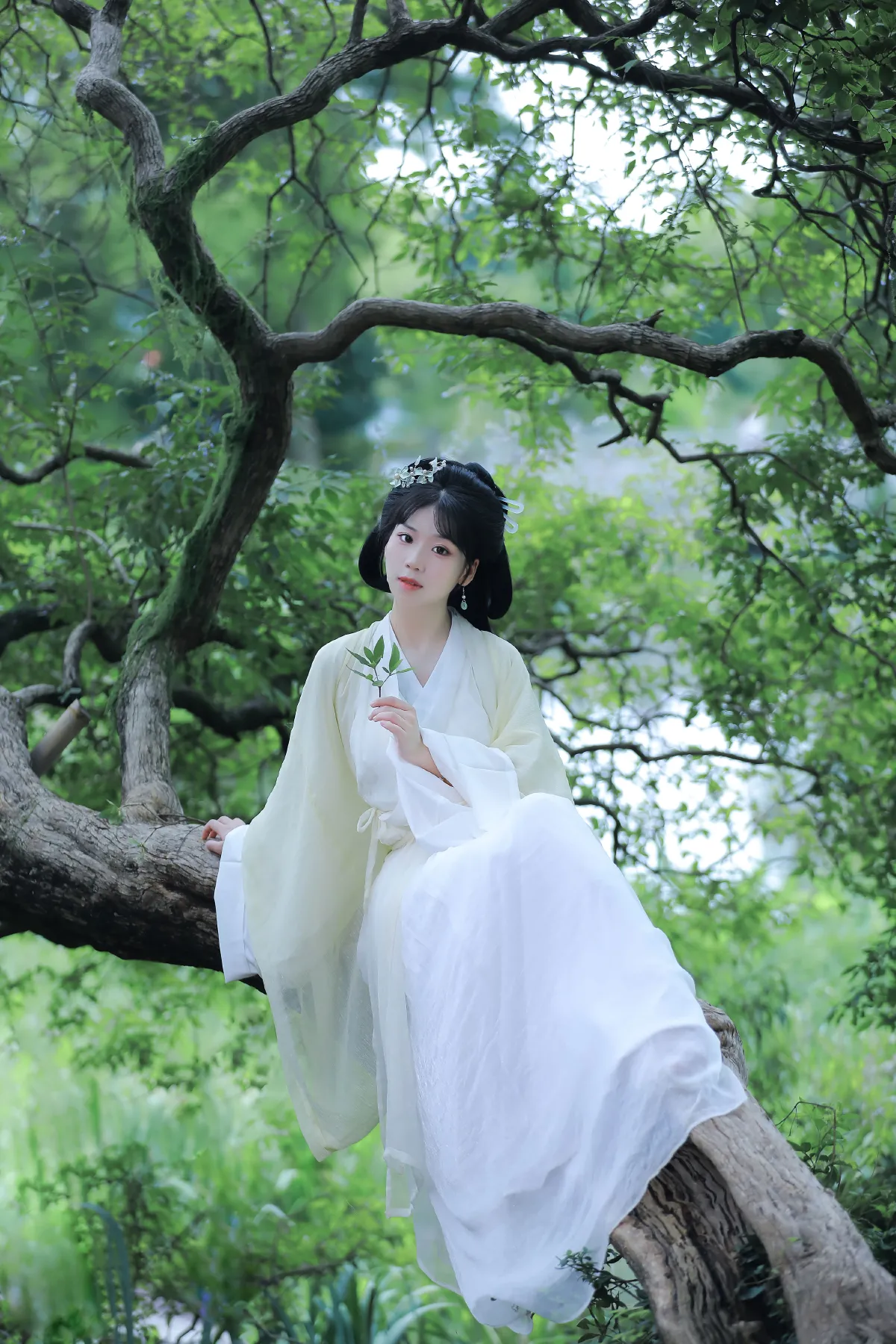 关山渡5