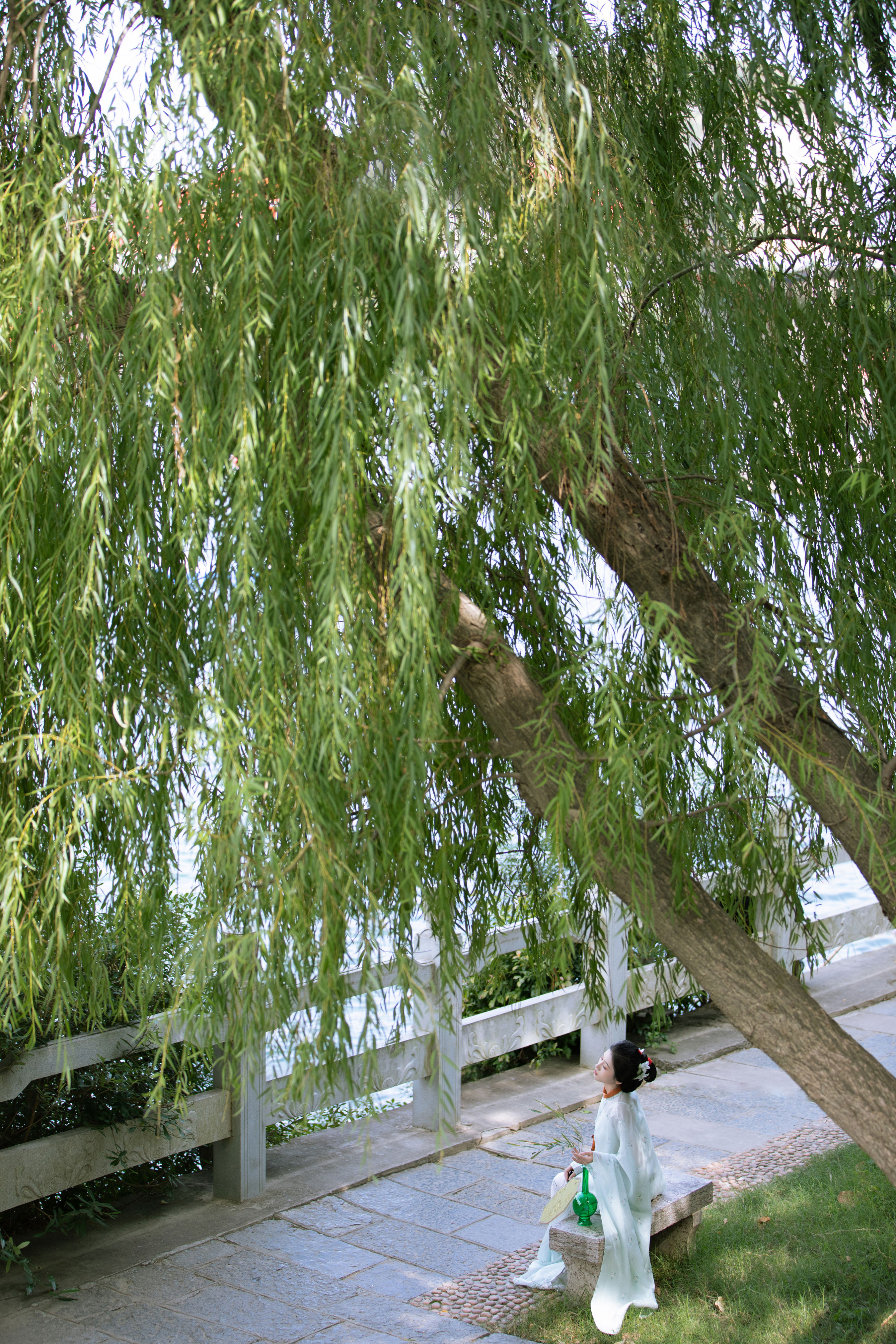 观沧海