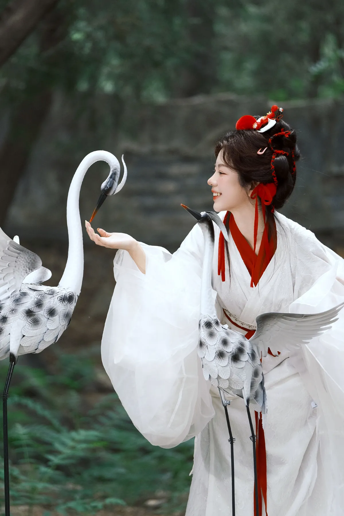 鹤