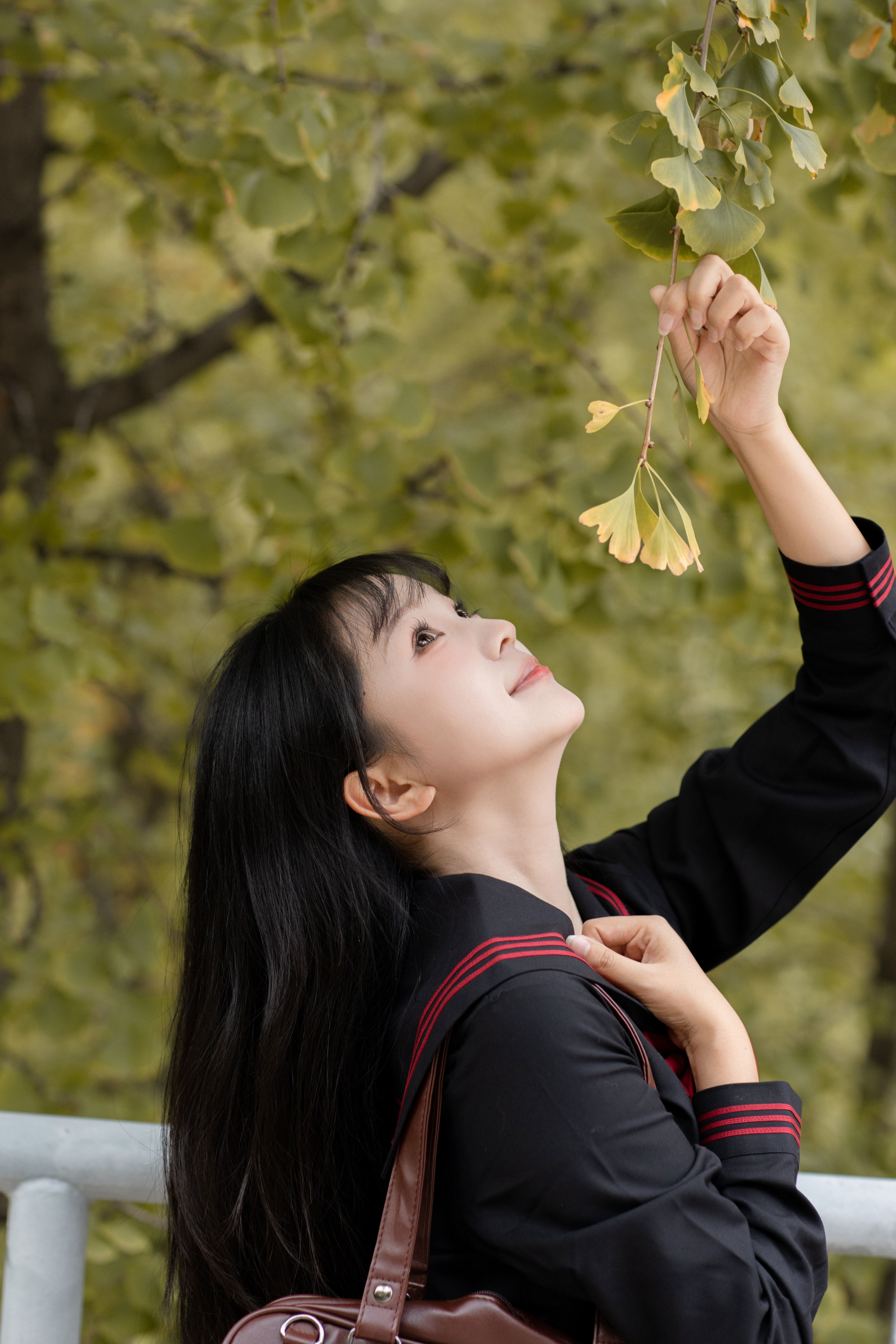 树荫下的日系少女
