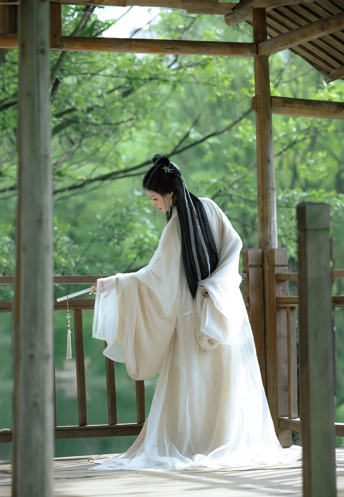 夏日的风4