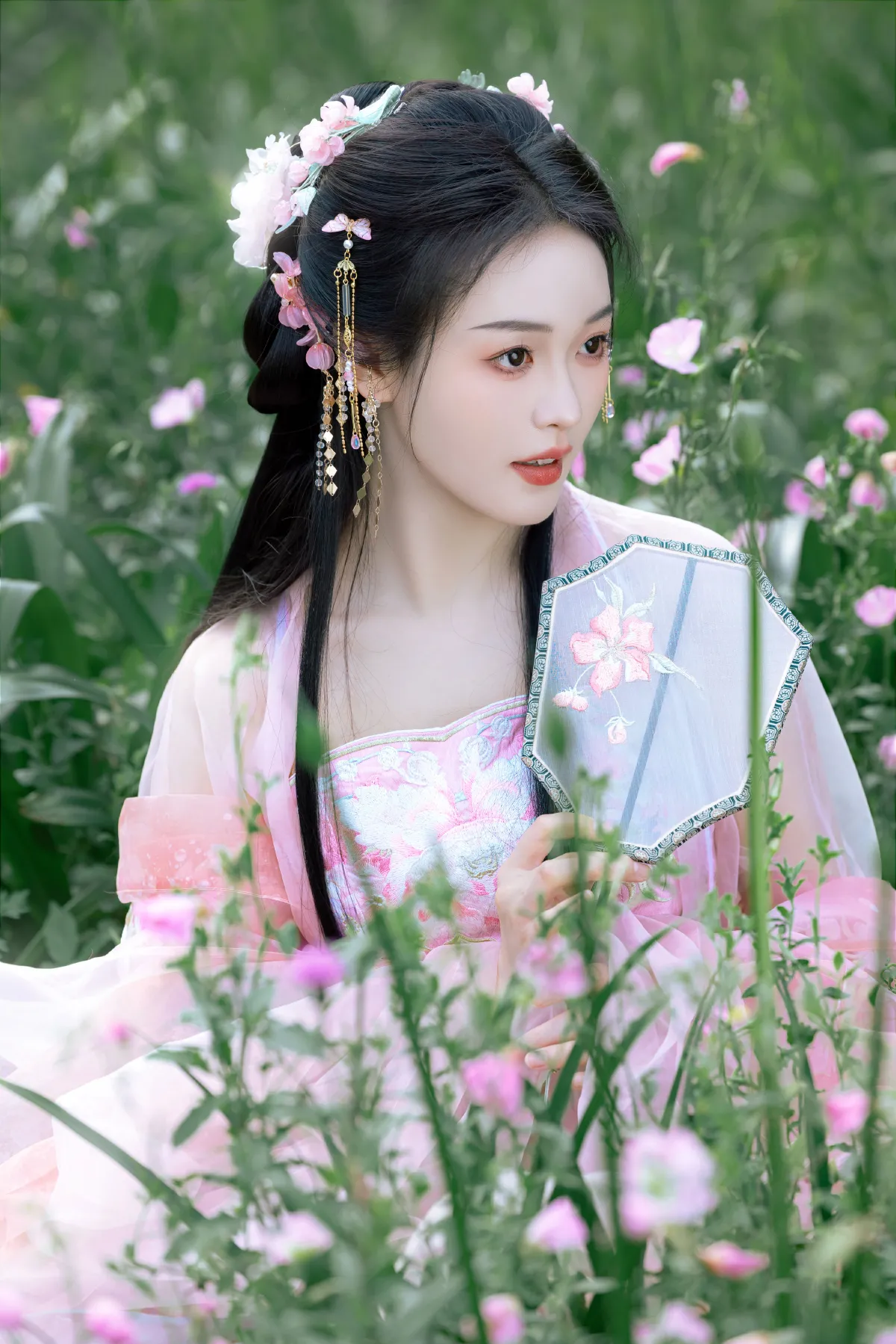 春日的风2