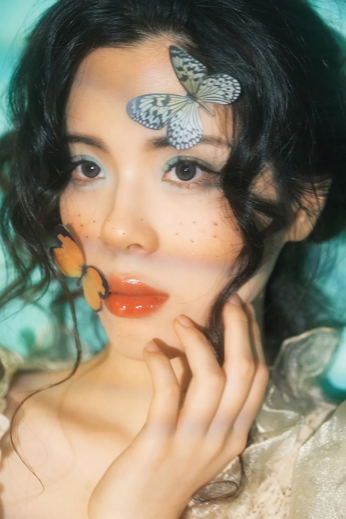 蝴蝶梦境5