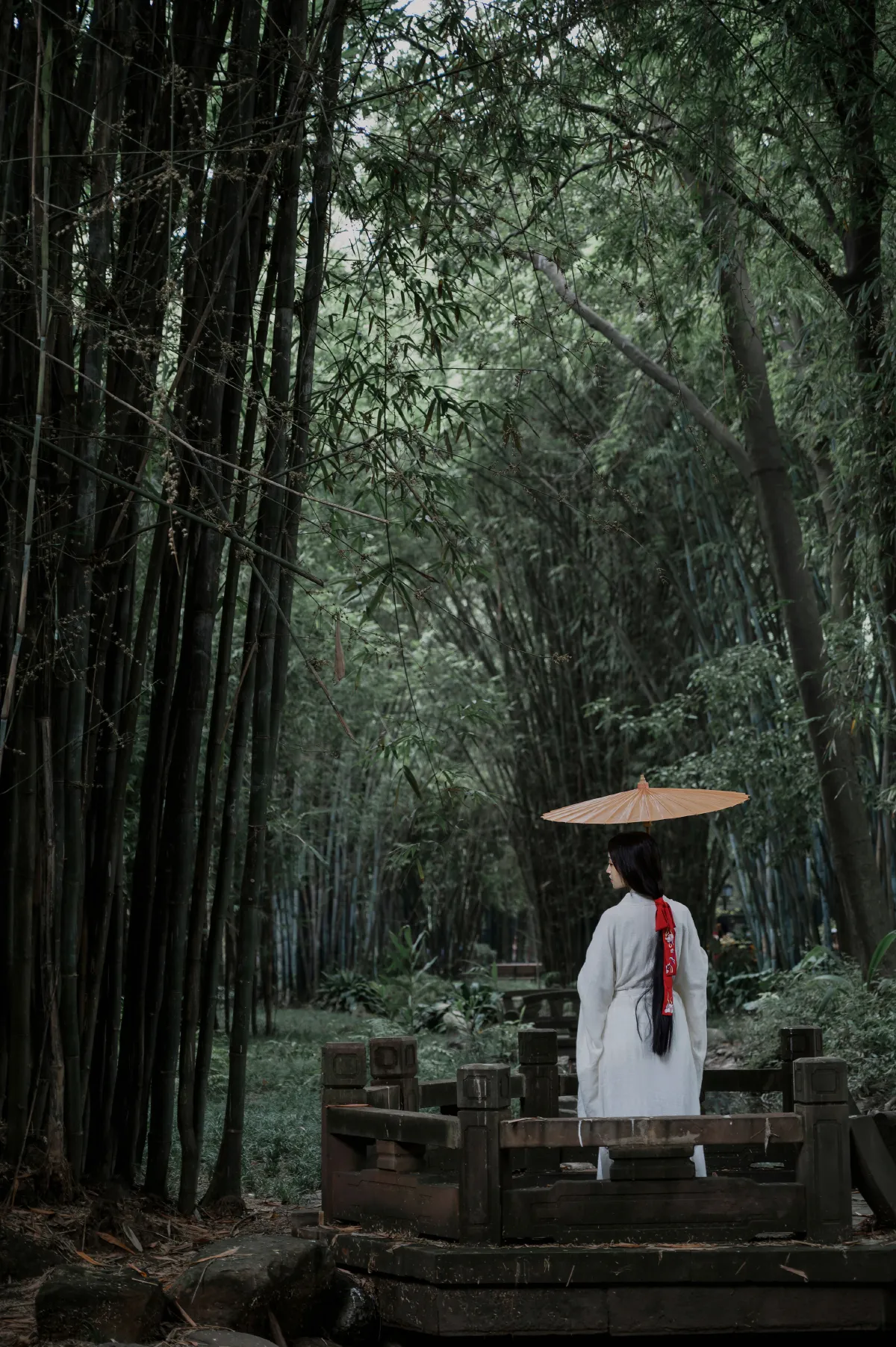 清竹