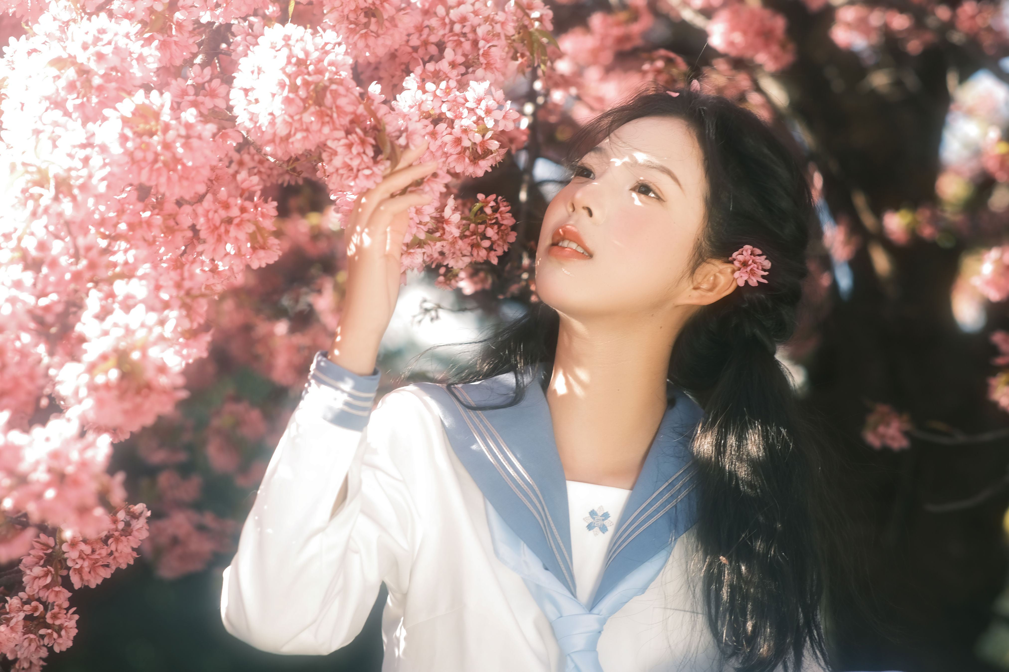 幸得樱花三月雨