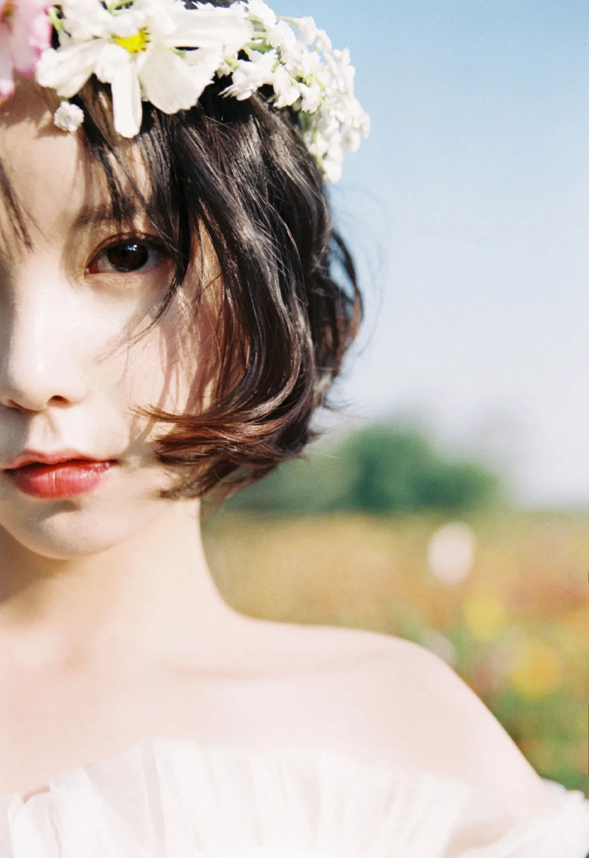 少女情怀总是诗