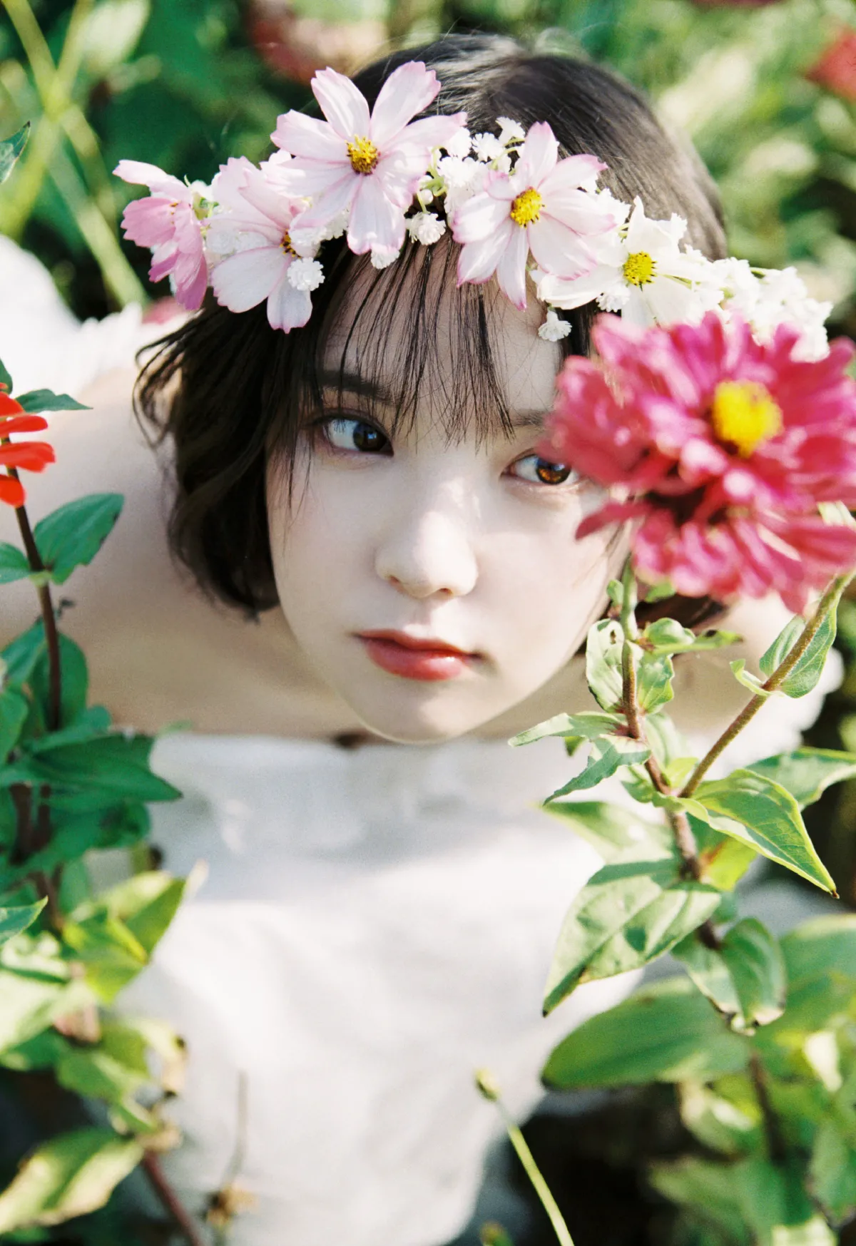少女情怀总是诗
