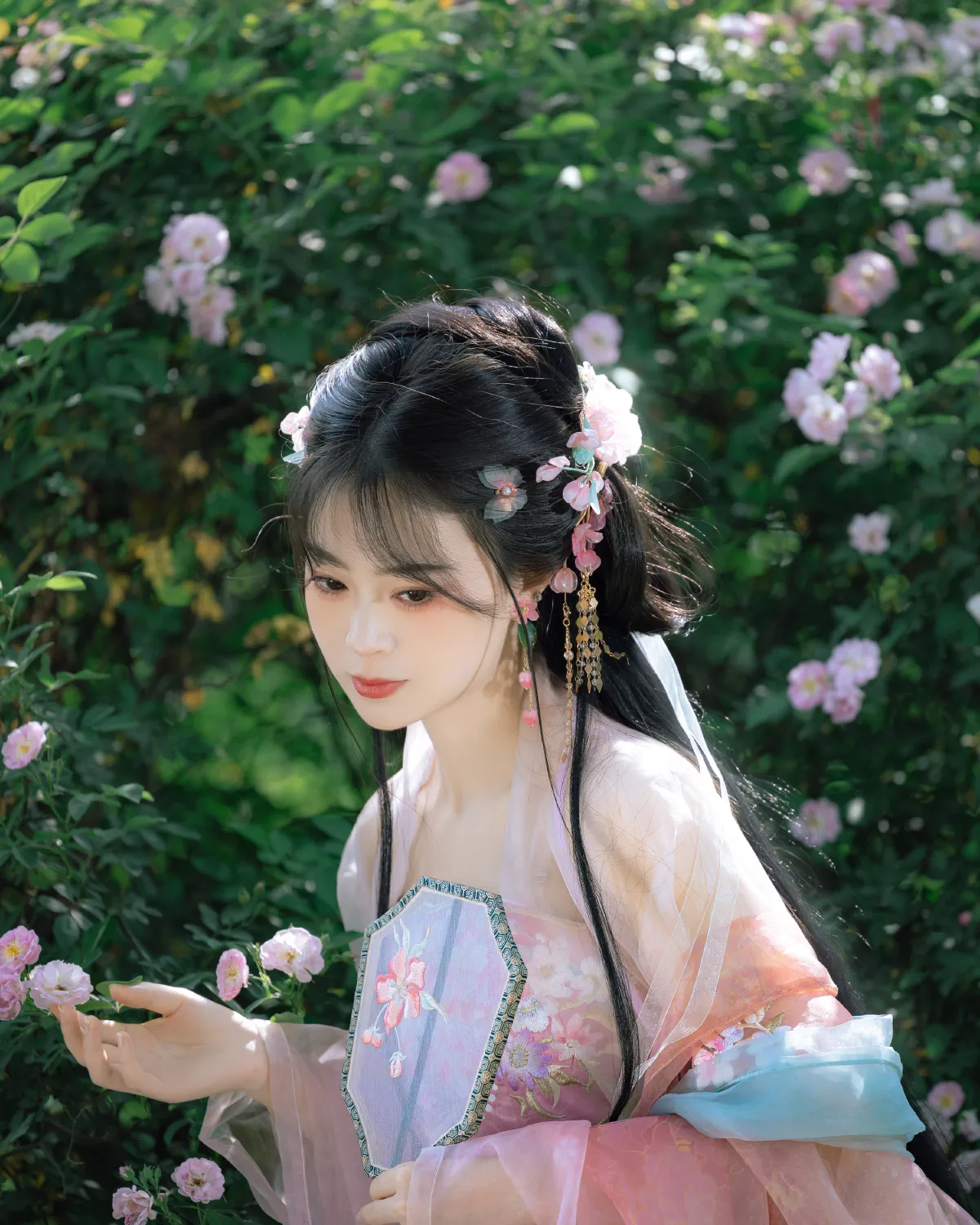 开夜车的猫-_安风《蔷薇》美图作品图片1