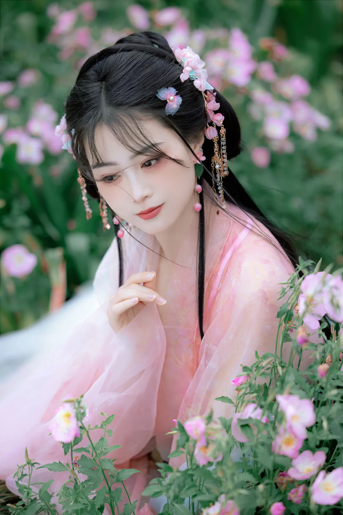 蔷薇