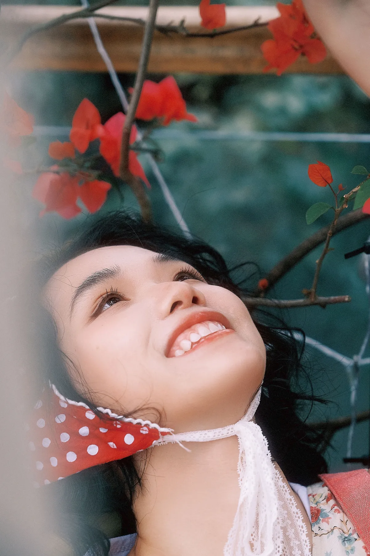 把春天搬回家