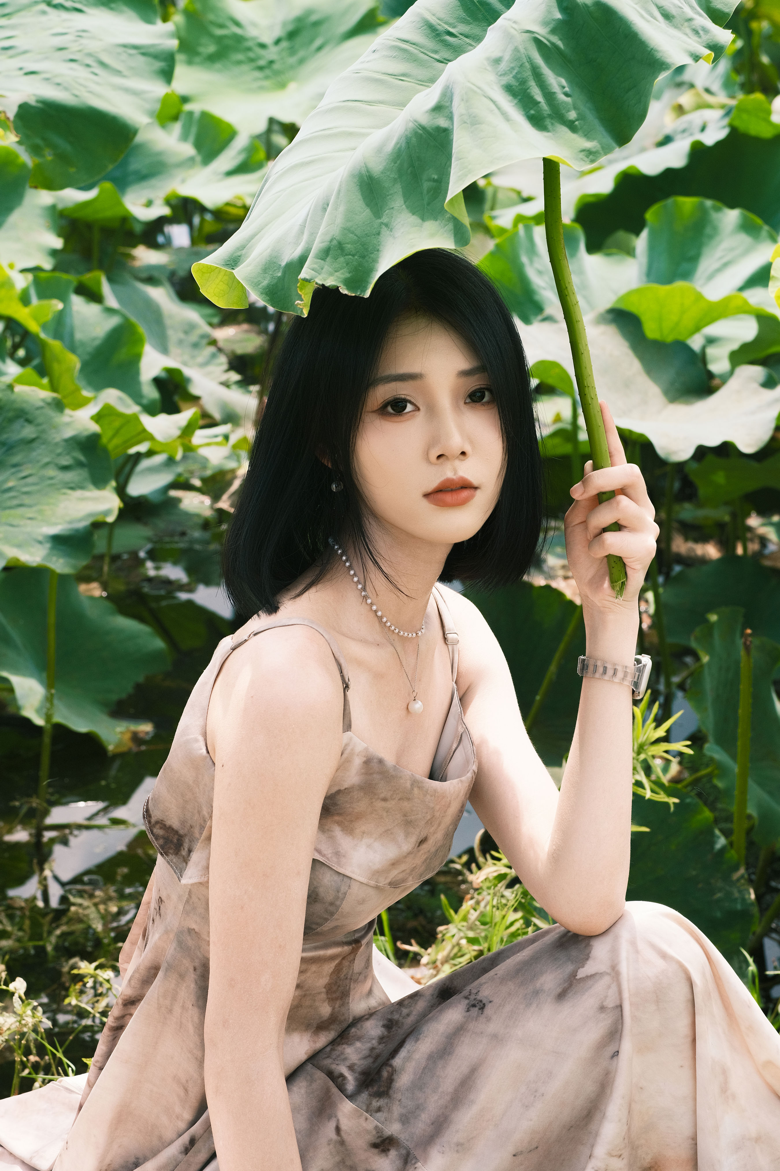 那年夏荷