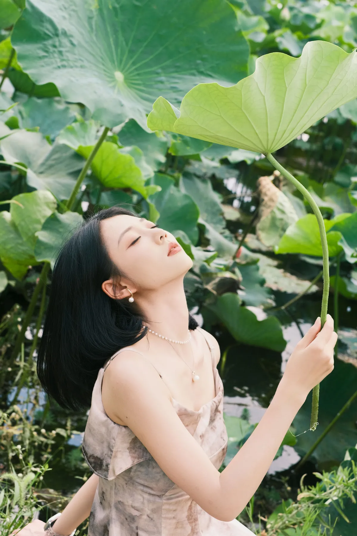 那年夏荷