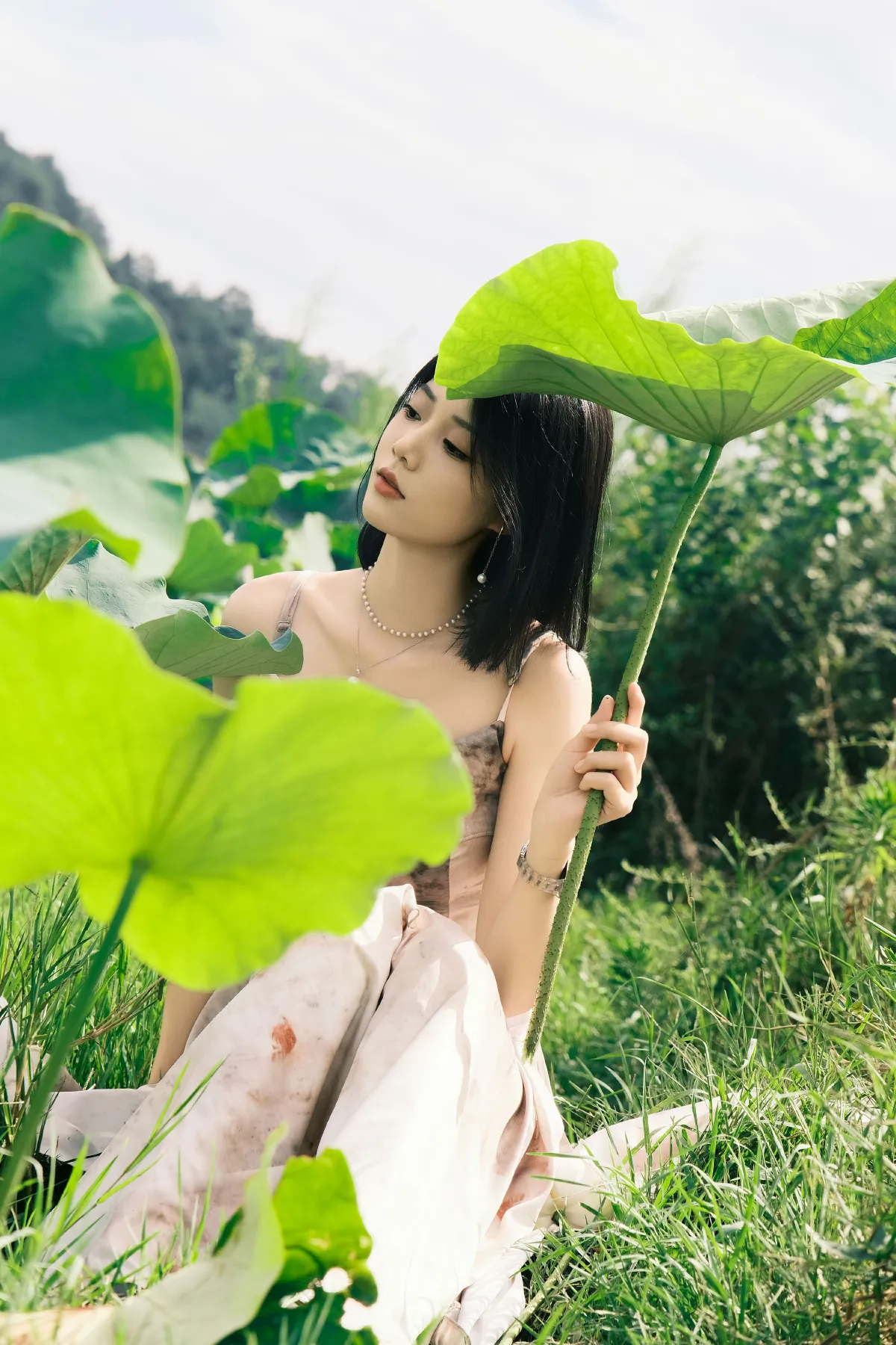 那年夏荷