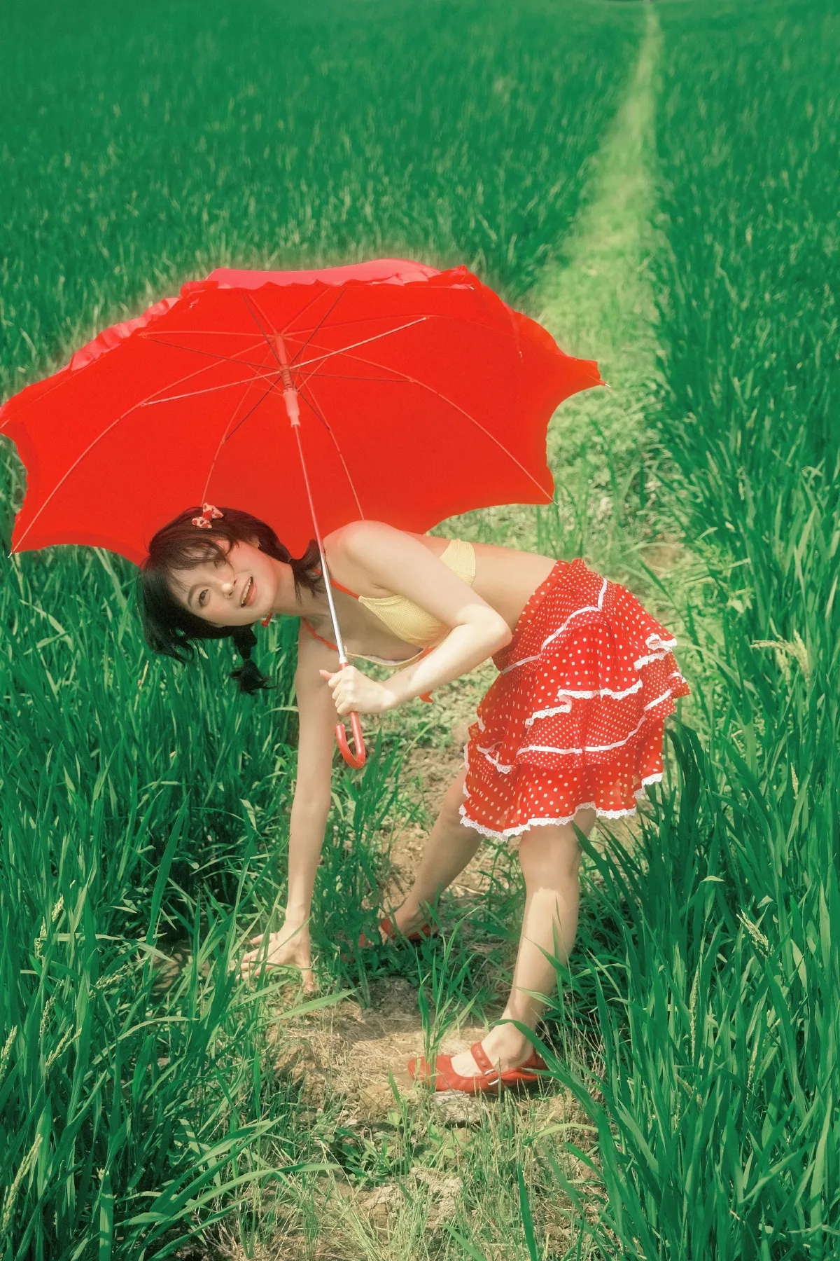 自由热烈