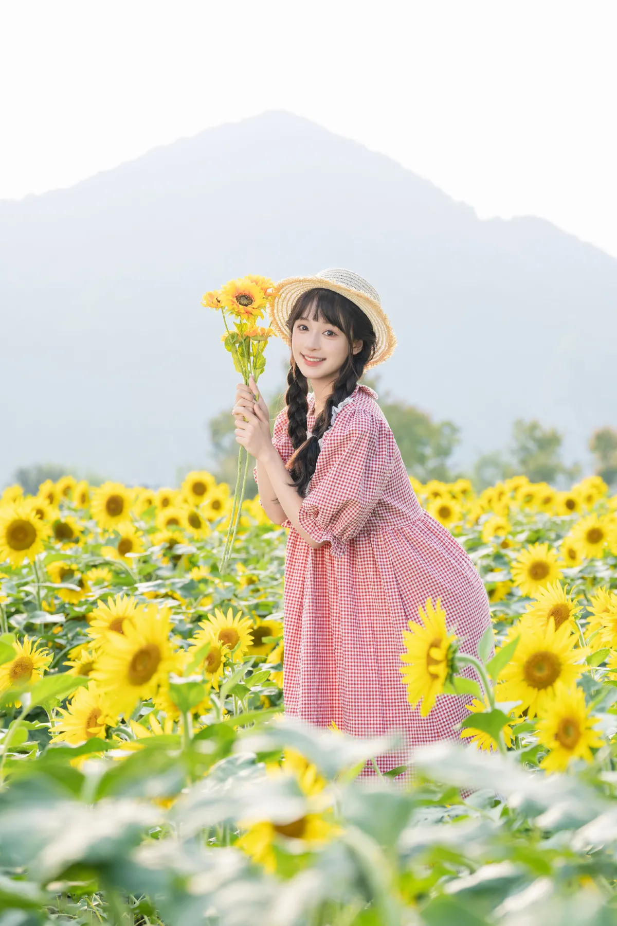 向日葵