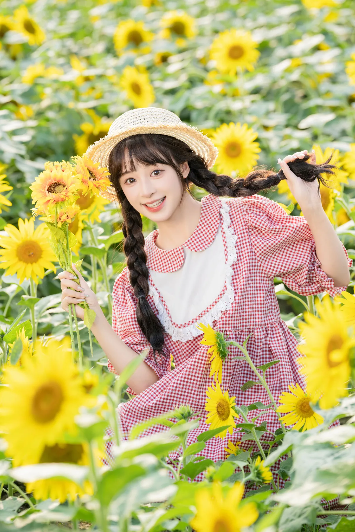 向日葵