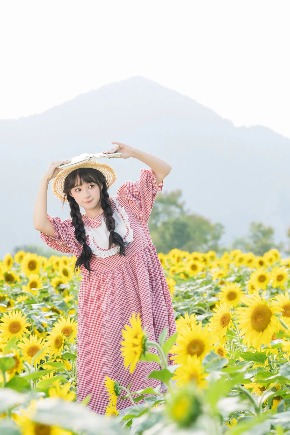向日葵