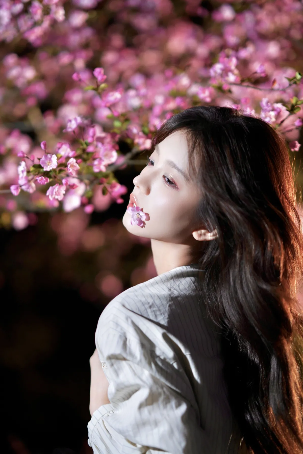 海棠花开