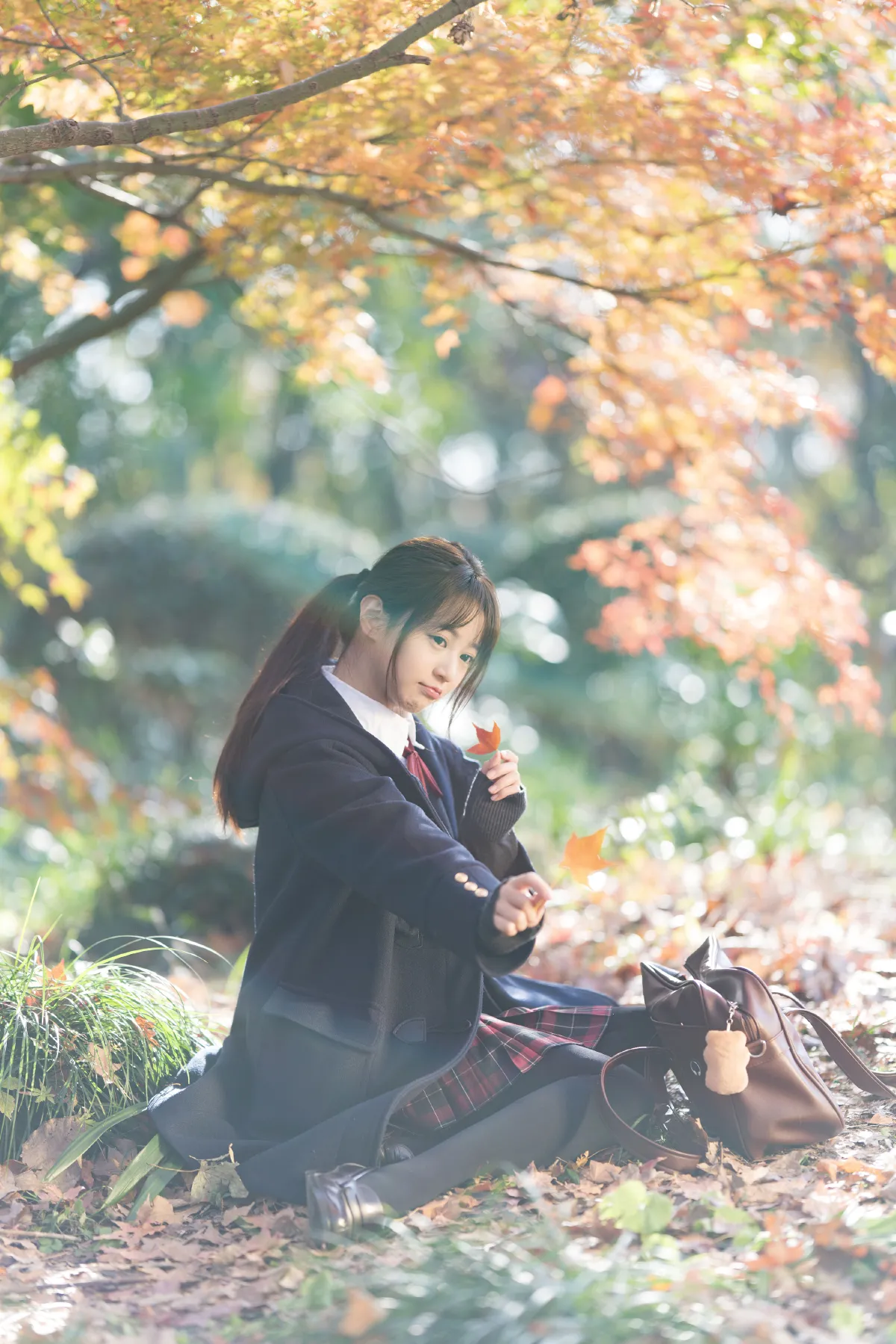 枫叶jk少女