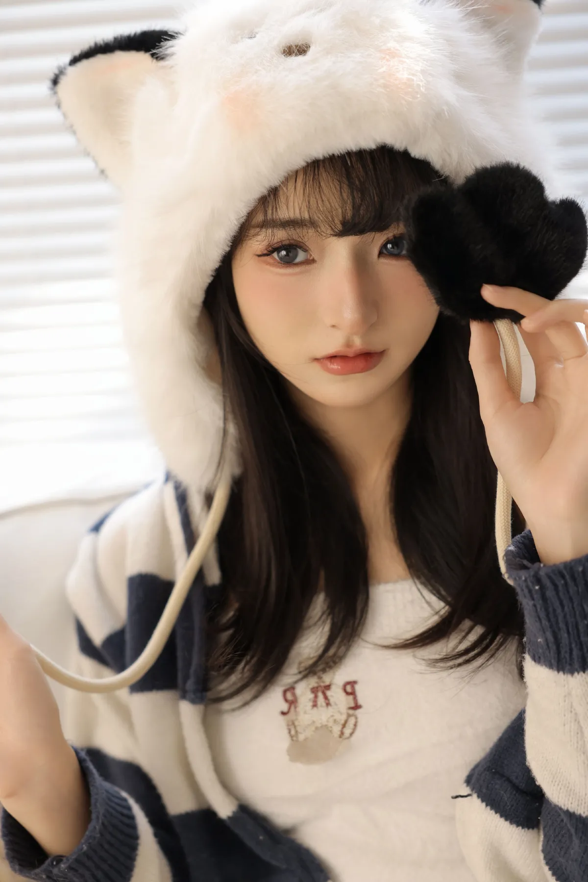圣诞猫咪