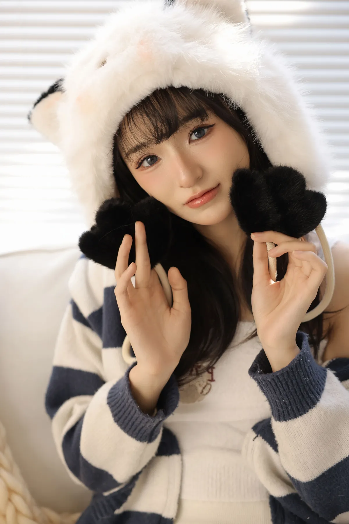 圣诞猫咪