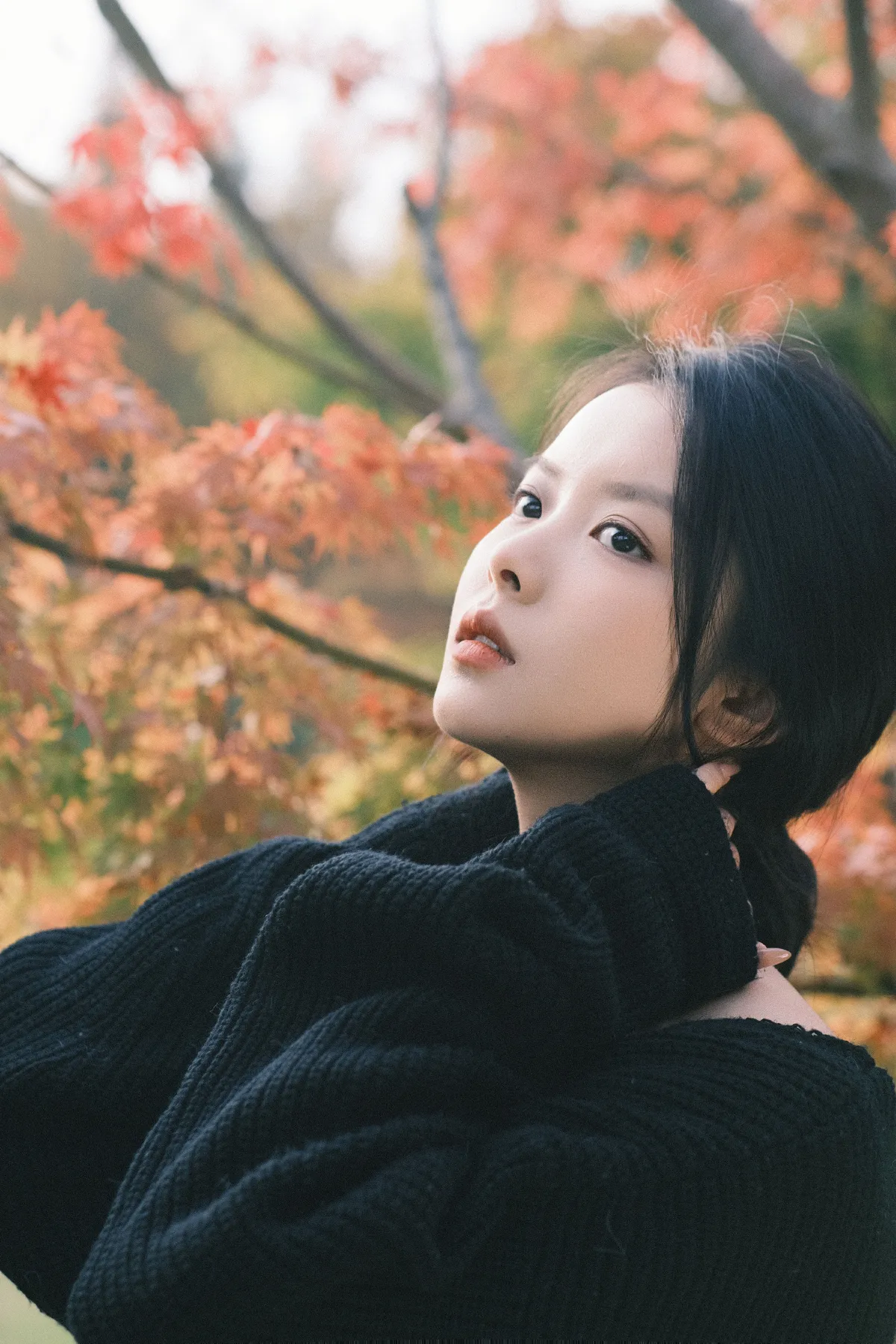 秋枫