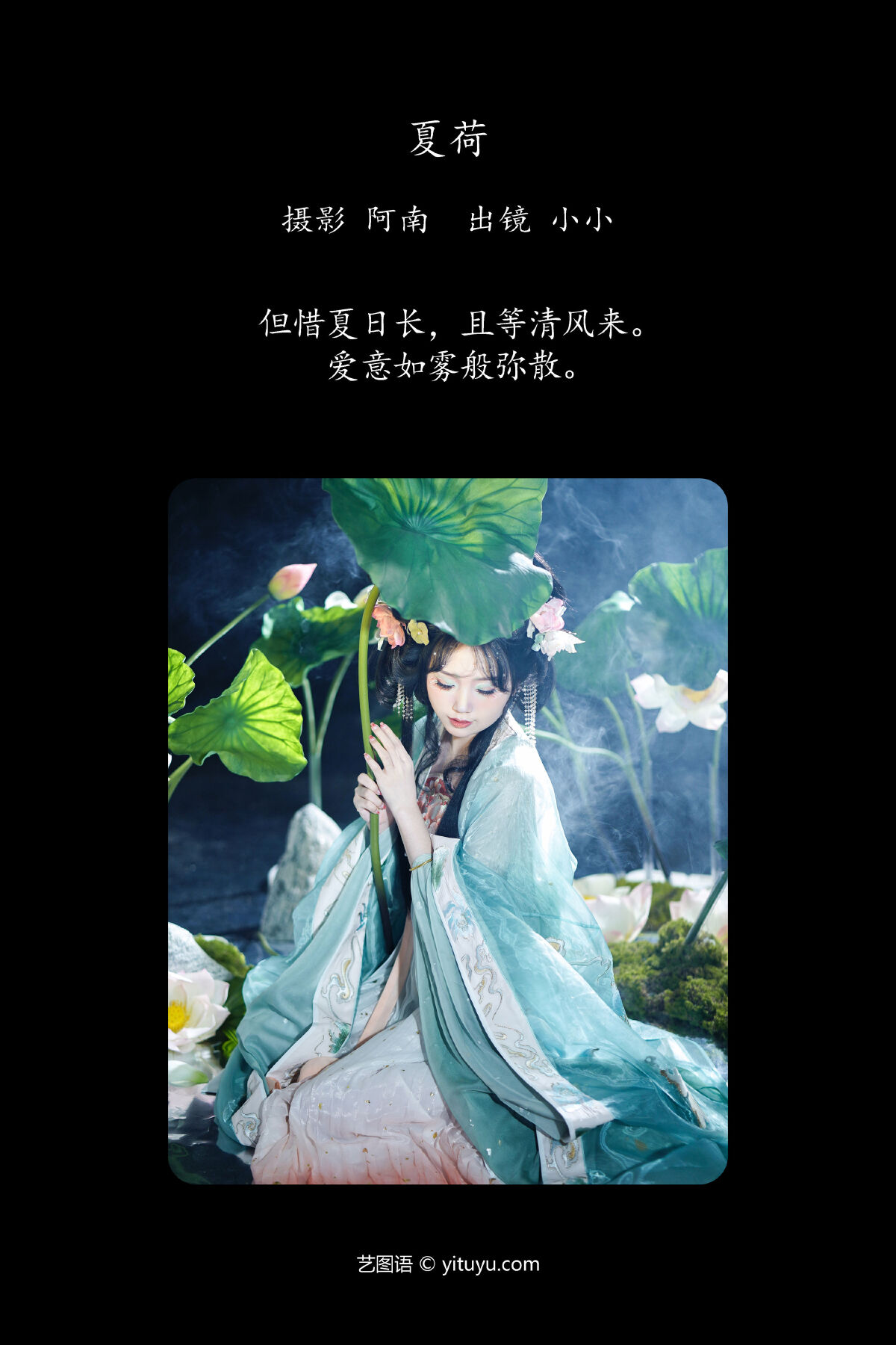 阿南_小小《夏荷》美图作品图片2