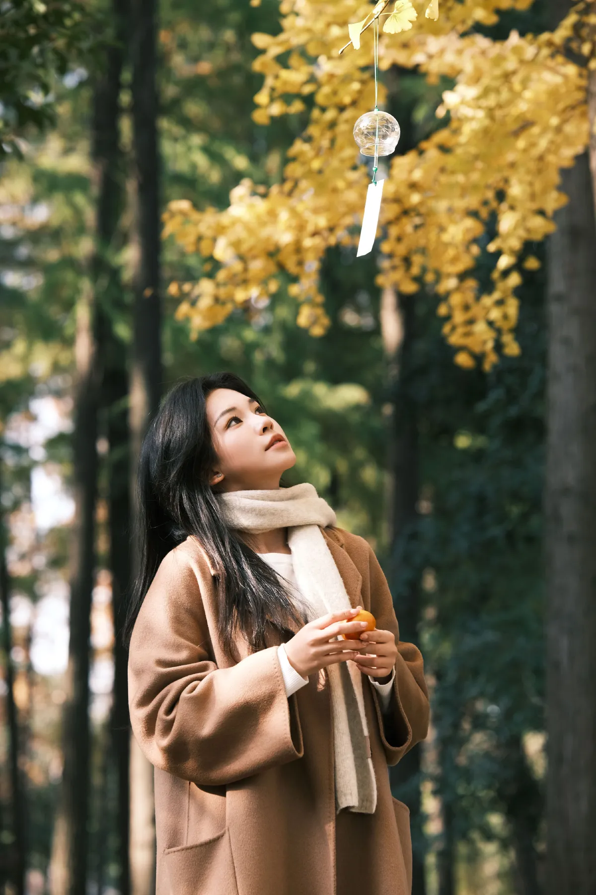 深秋的信使