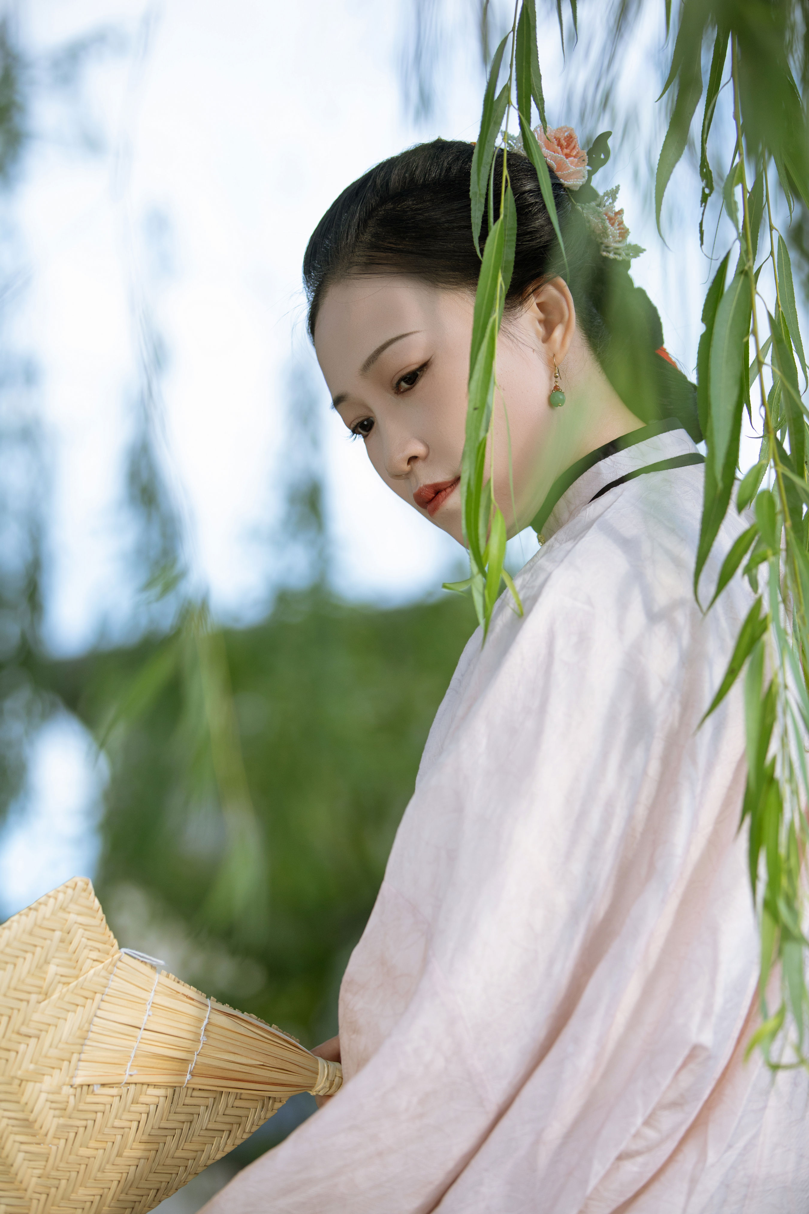 柳稍