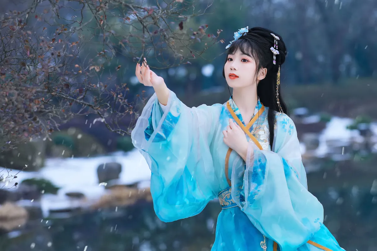 寒江雪