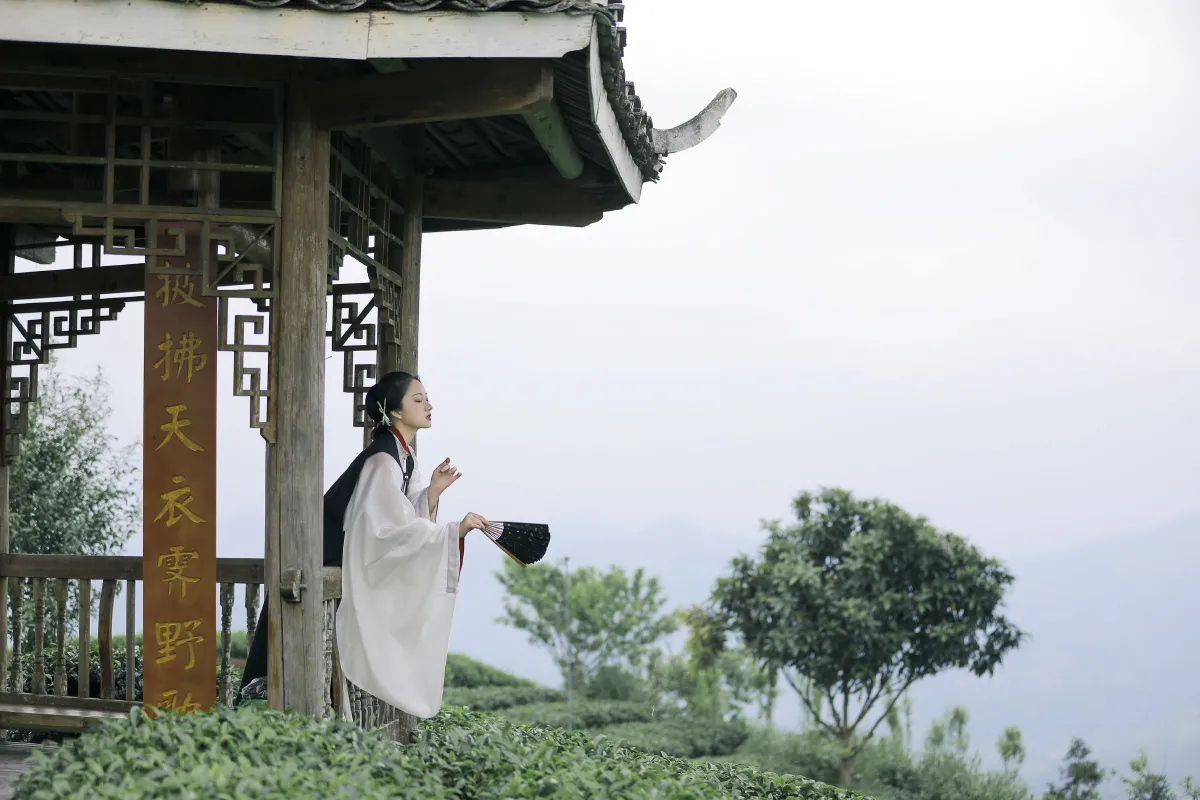 沉诗思_秋哒哒--《清茗》美图作品图片4