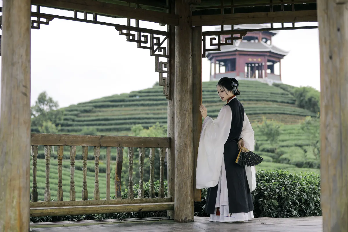 沉诗思_秋哒哒--《清茗》美图作品图片5