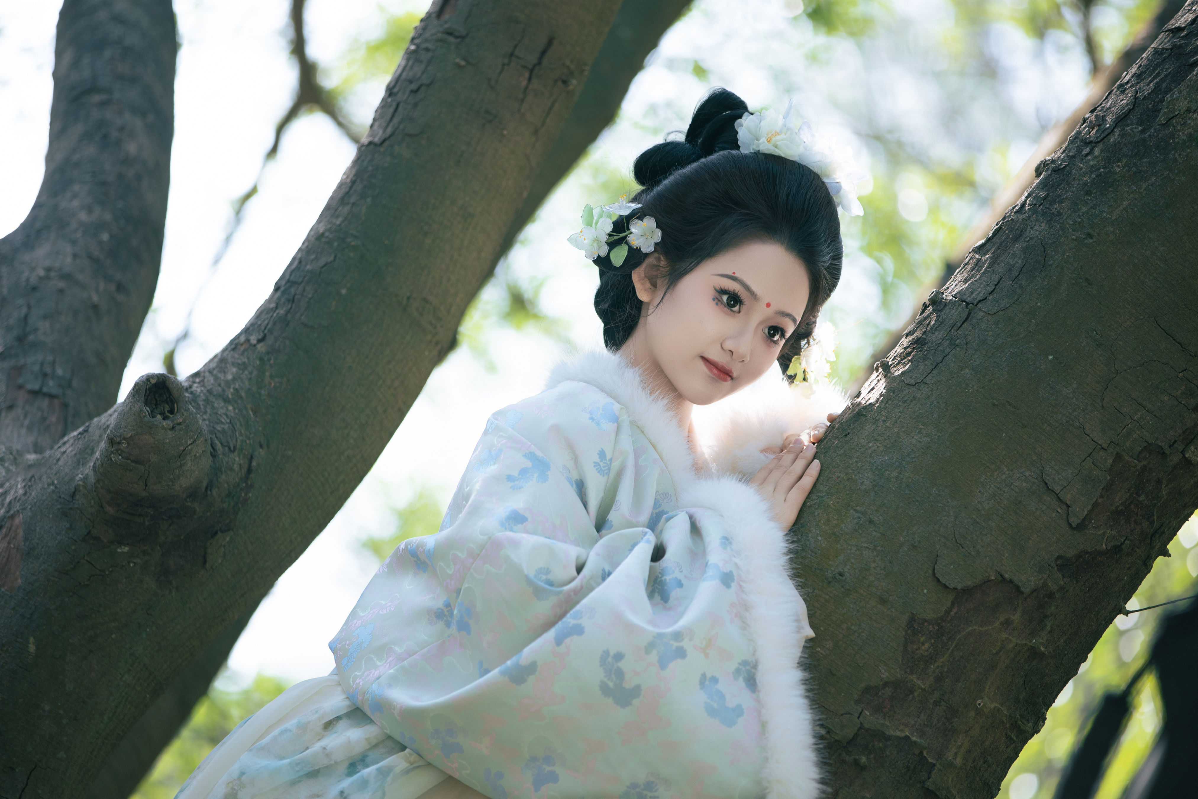 纸鸢