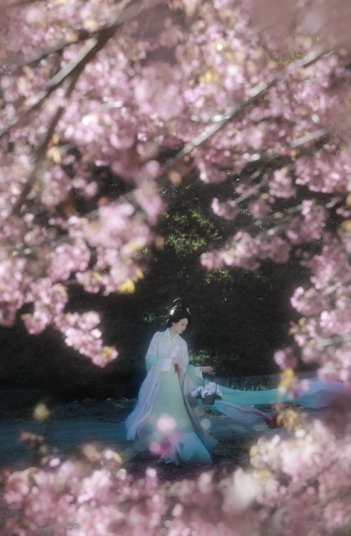 阿录-_瑜瑾《绣面芙蓉一笑开，斜飞宝鸭衬相腮》美图作品图片2
