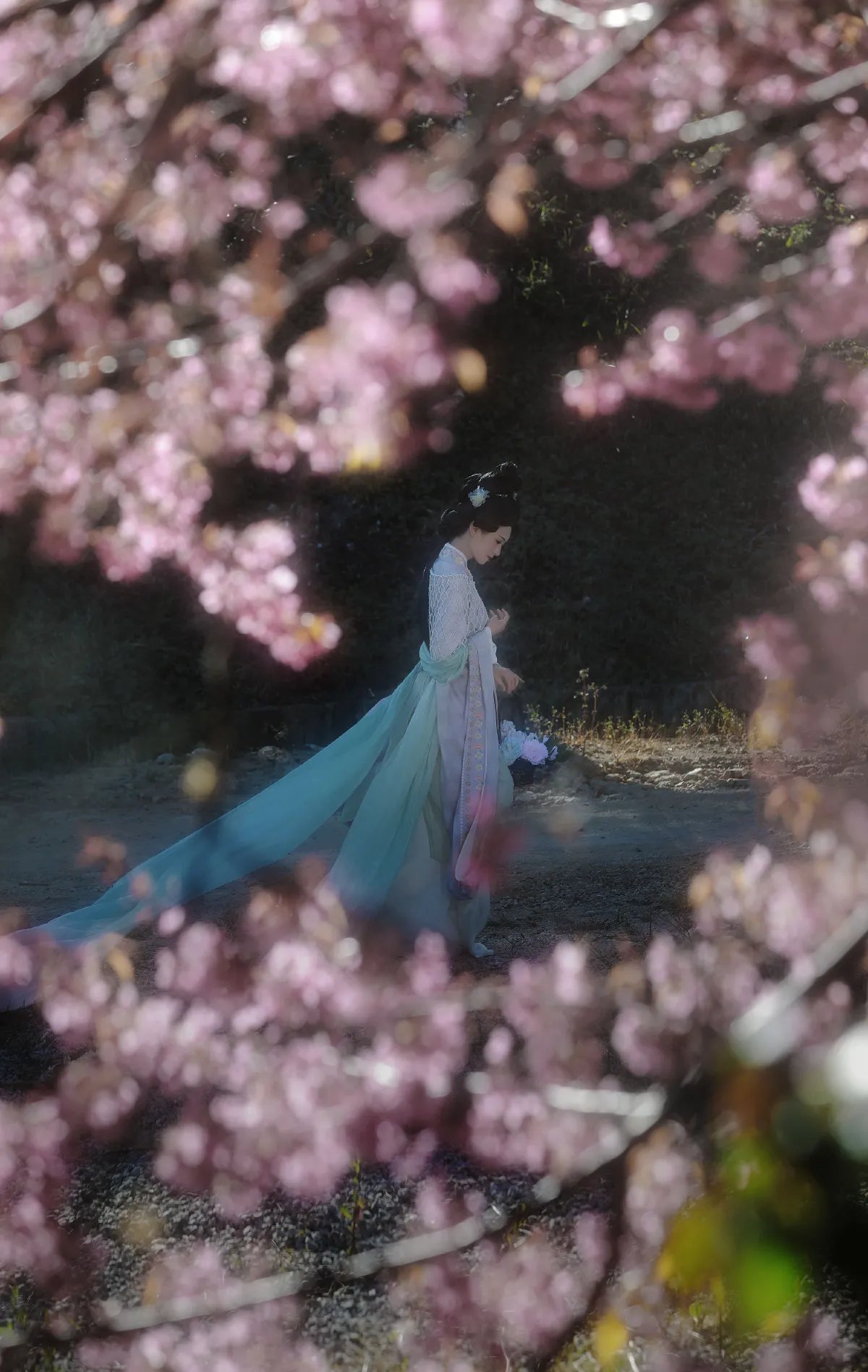 阿录-_瑜瑾《绣面芙蓉一笑开，斜飞宝鸭衬相腮》美图作品图片3