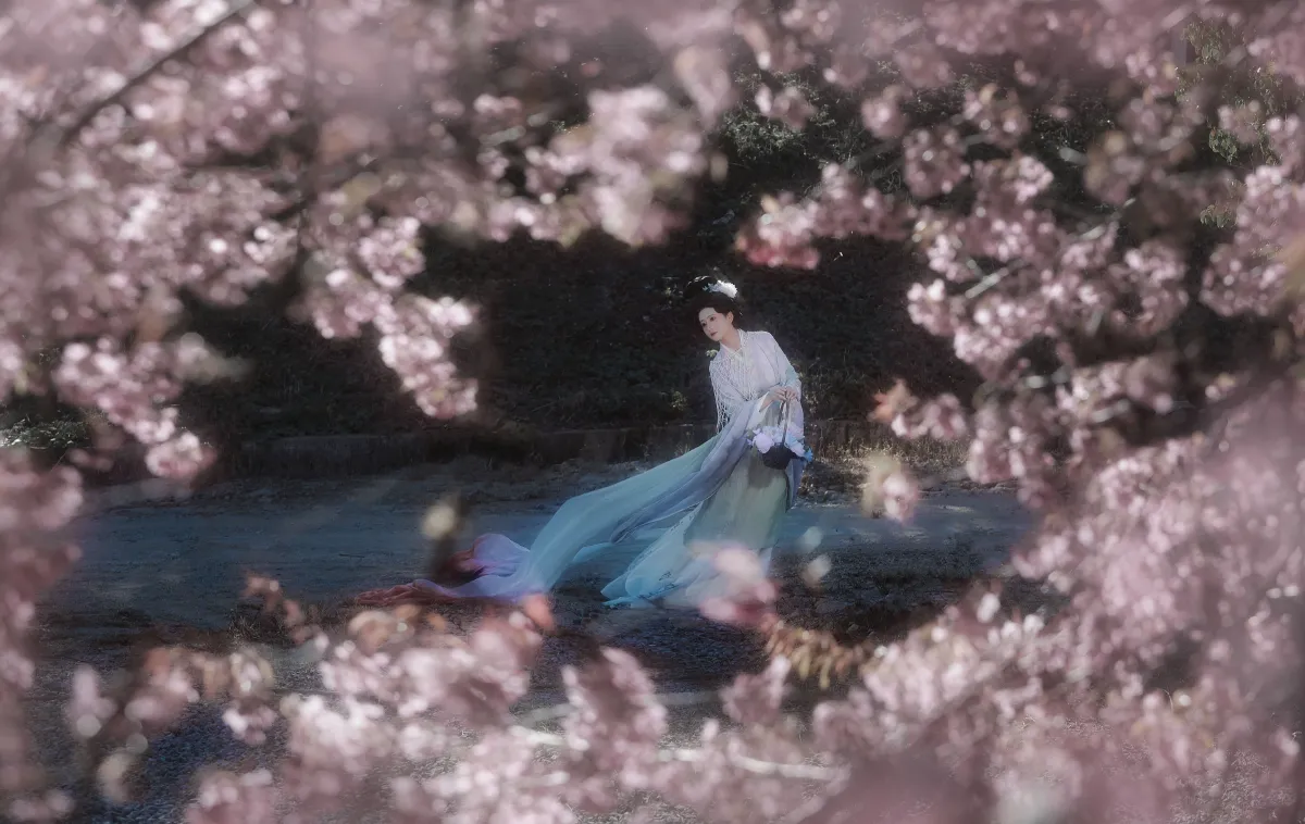 绣面芙蓉一笑开，斜飞宝鸭衬相腮5