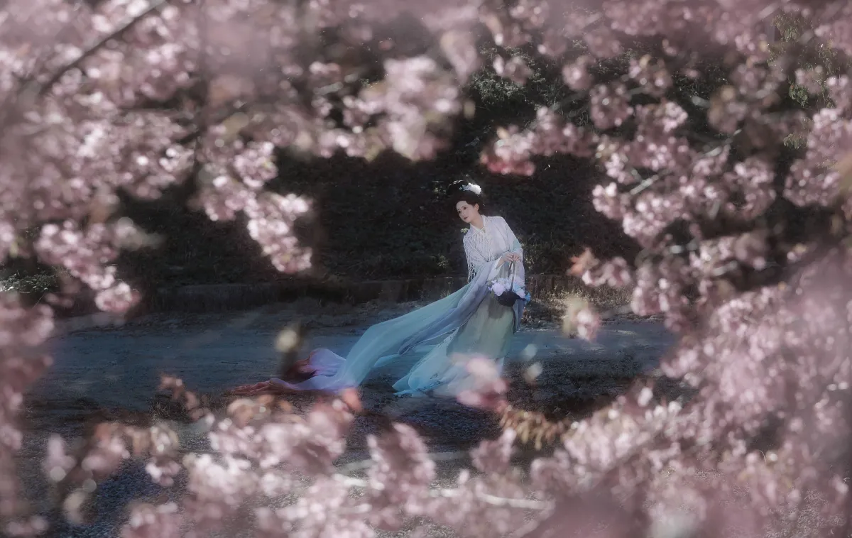 阿录-_瑜瑾《绣面芙蓉一笑开，斜飞宝鸭衬相腮》美图作品图片5